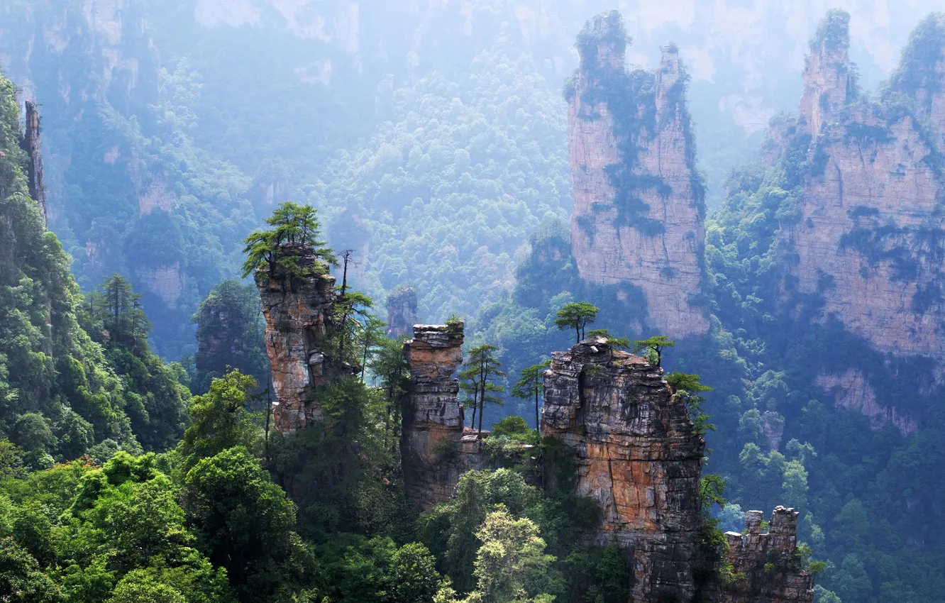 Фото обои солнце, деревья, горы, скалы, China, Zhangjiajie National Park