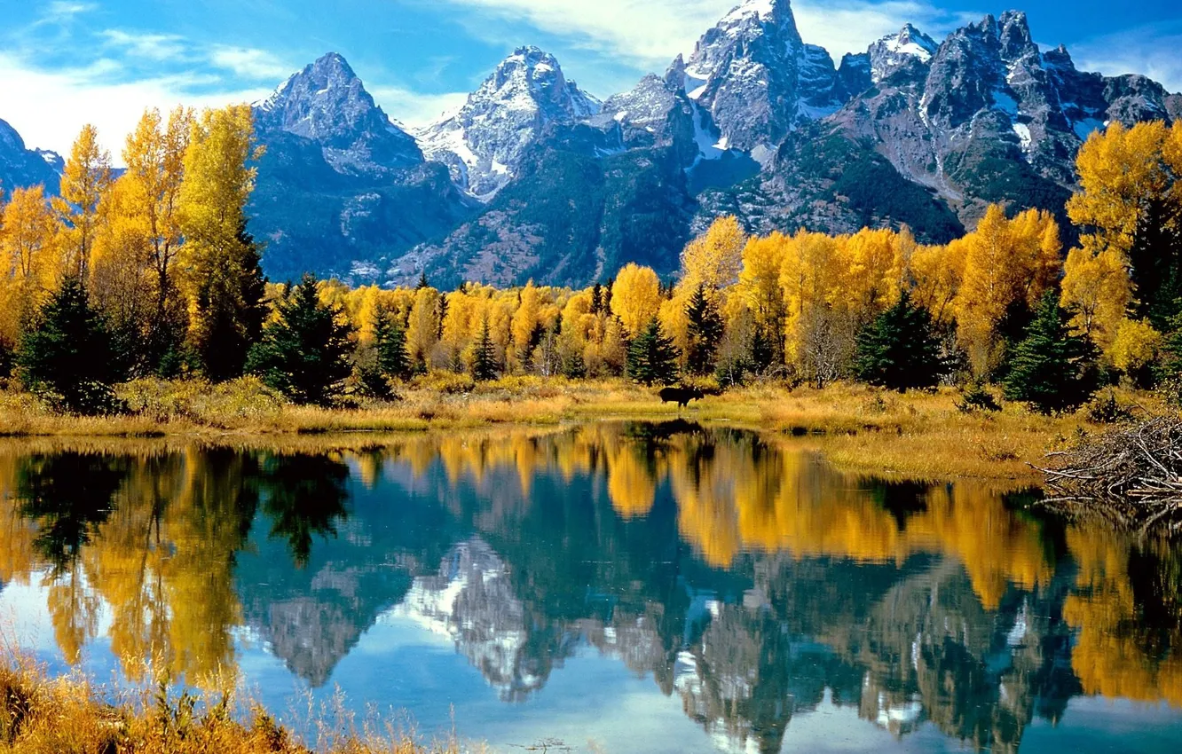 Фото обои осень, лес, вода, деревья, горы, озеро, отражение, желтое