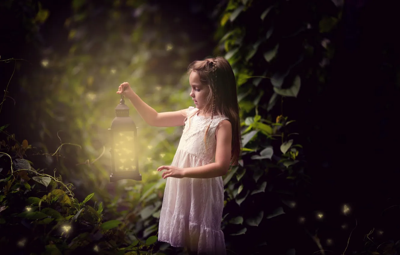 Фото обои лес, природа, светлячки, девочка, фонарь