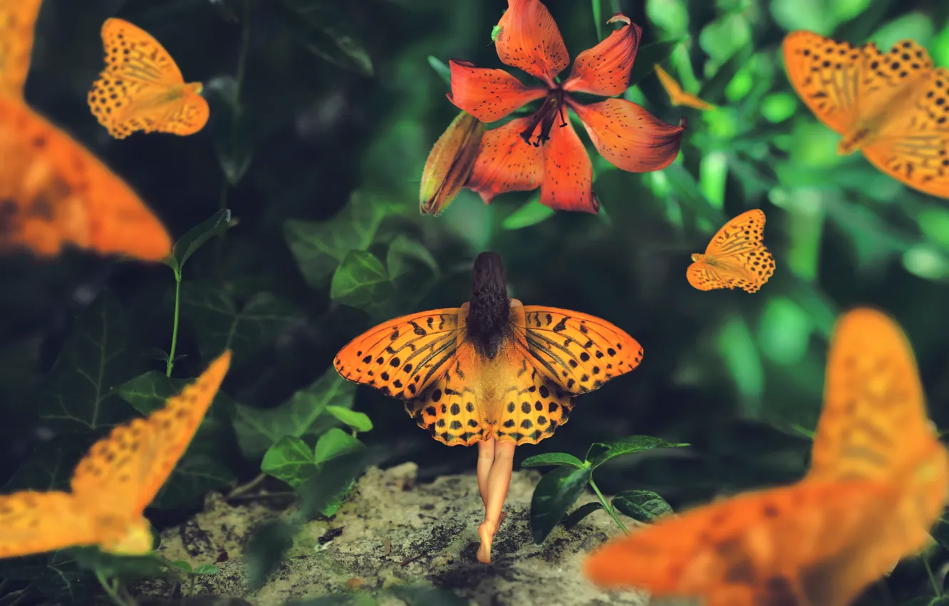 Фото обои девушка, бабочки, лилия, крылья, Wonderland journey, Maria Mazuch