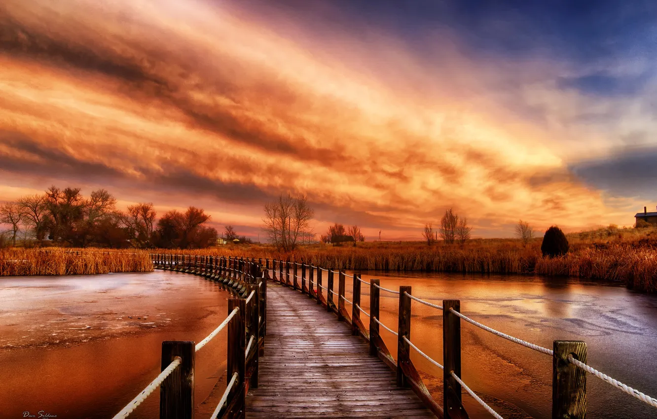 Фото обои осень, небо, трава, мост, река, камыши, зарево