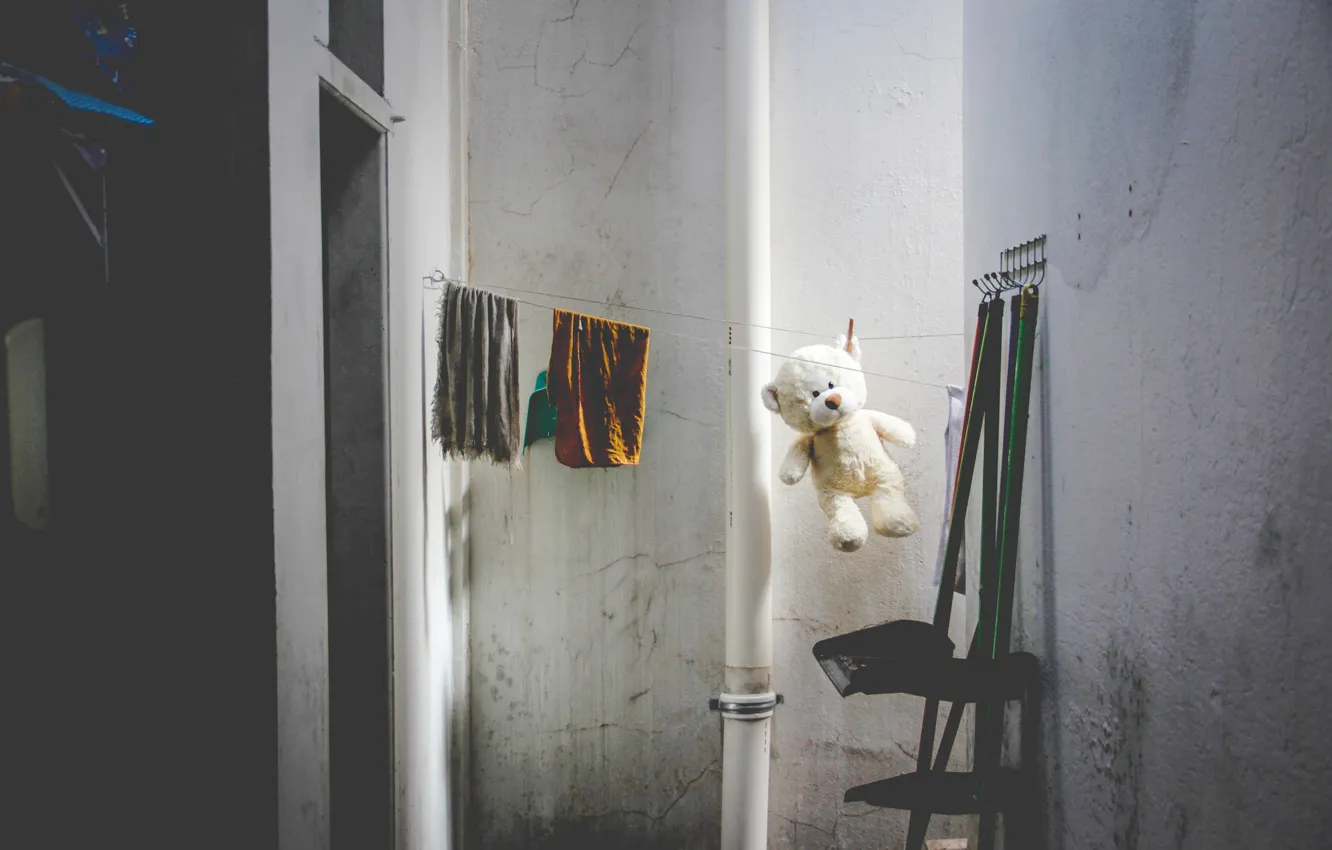 Фото обои белый, стены, игрушка, веревки, медведь, мишка, тедди, помещение