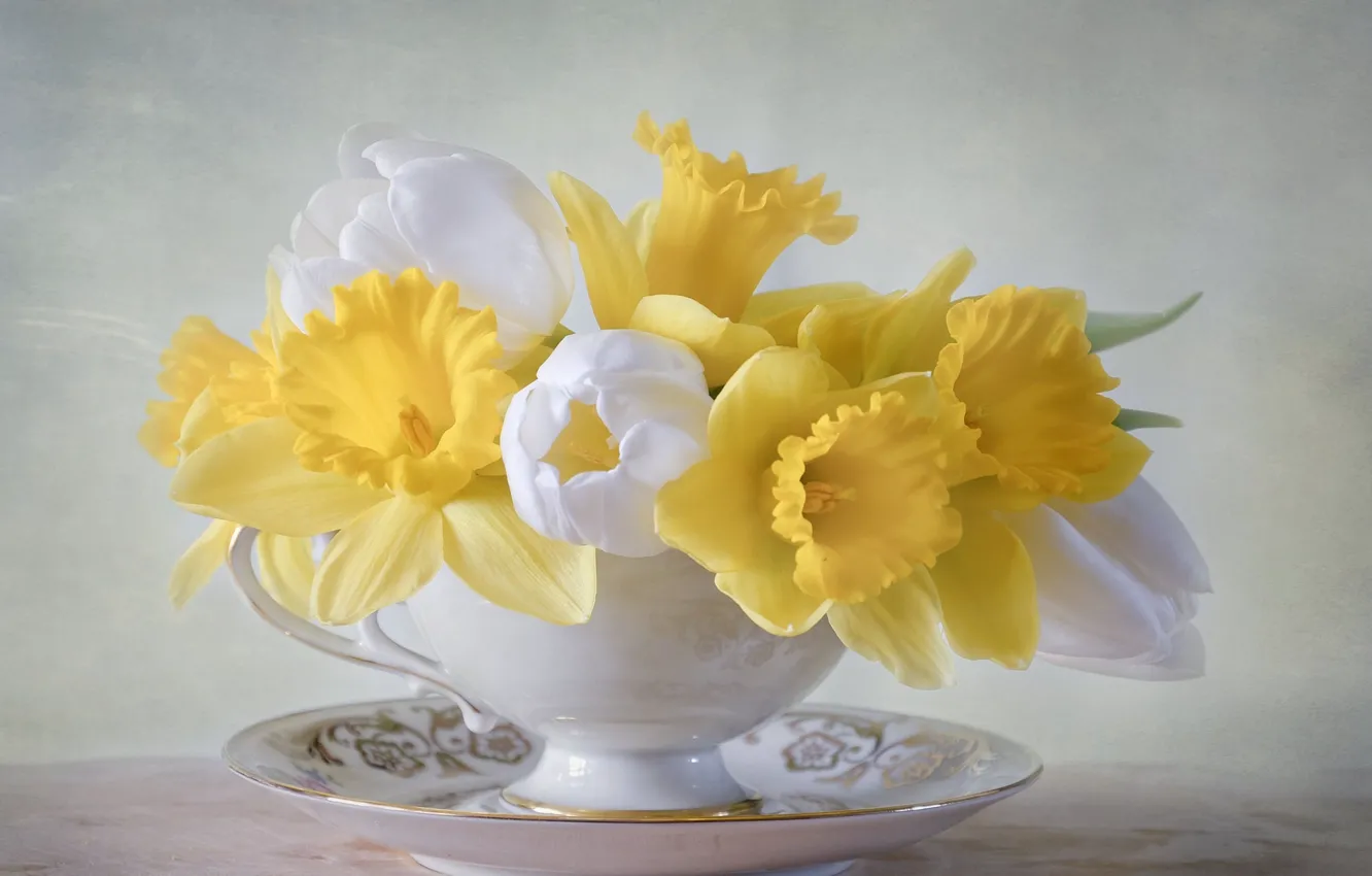 Фото обои цветы, букет, тарелка, чашка, тюльпаны, нарциссы