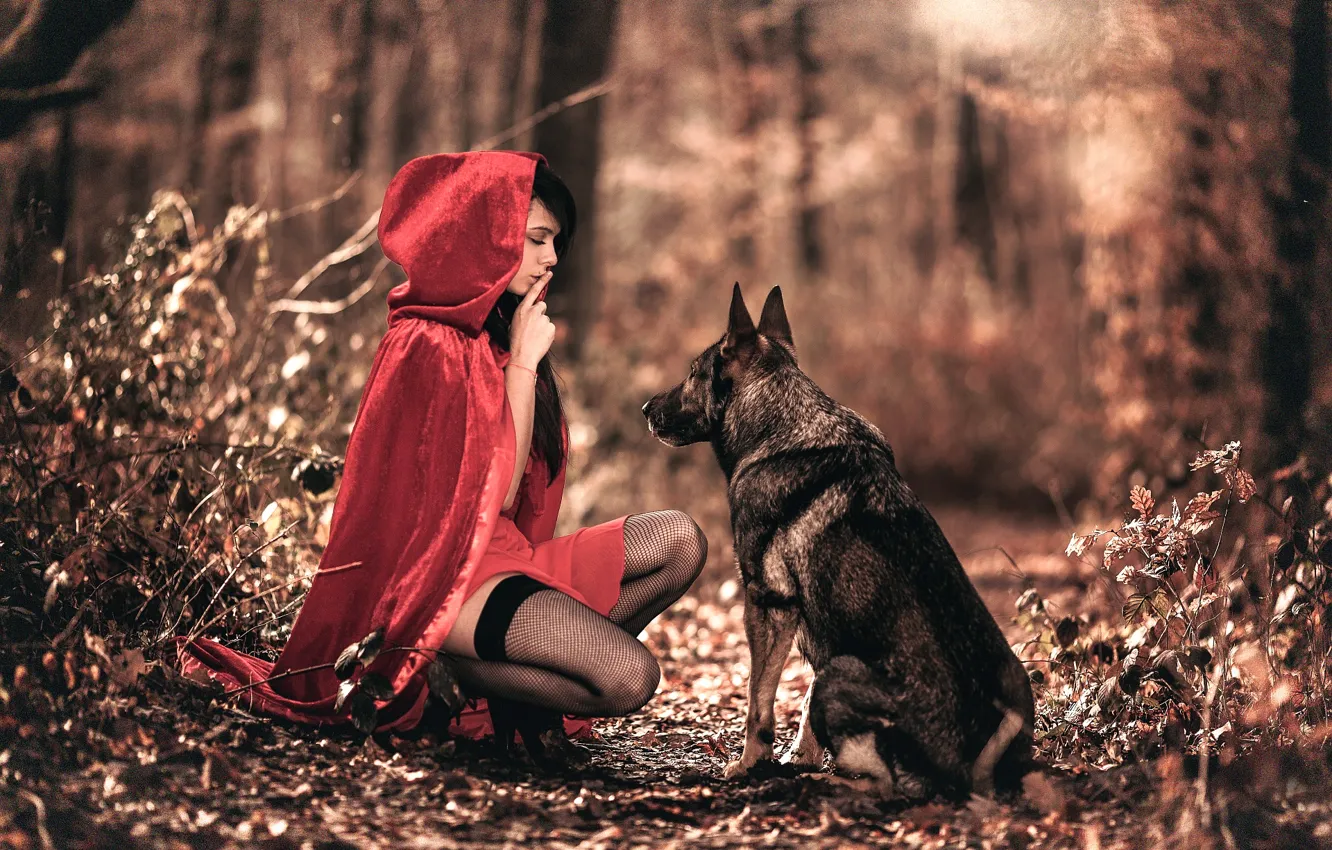 Фото обои лес, девушка, собака, плащ, Arya, Laurent KC
