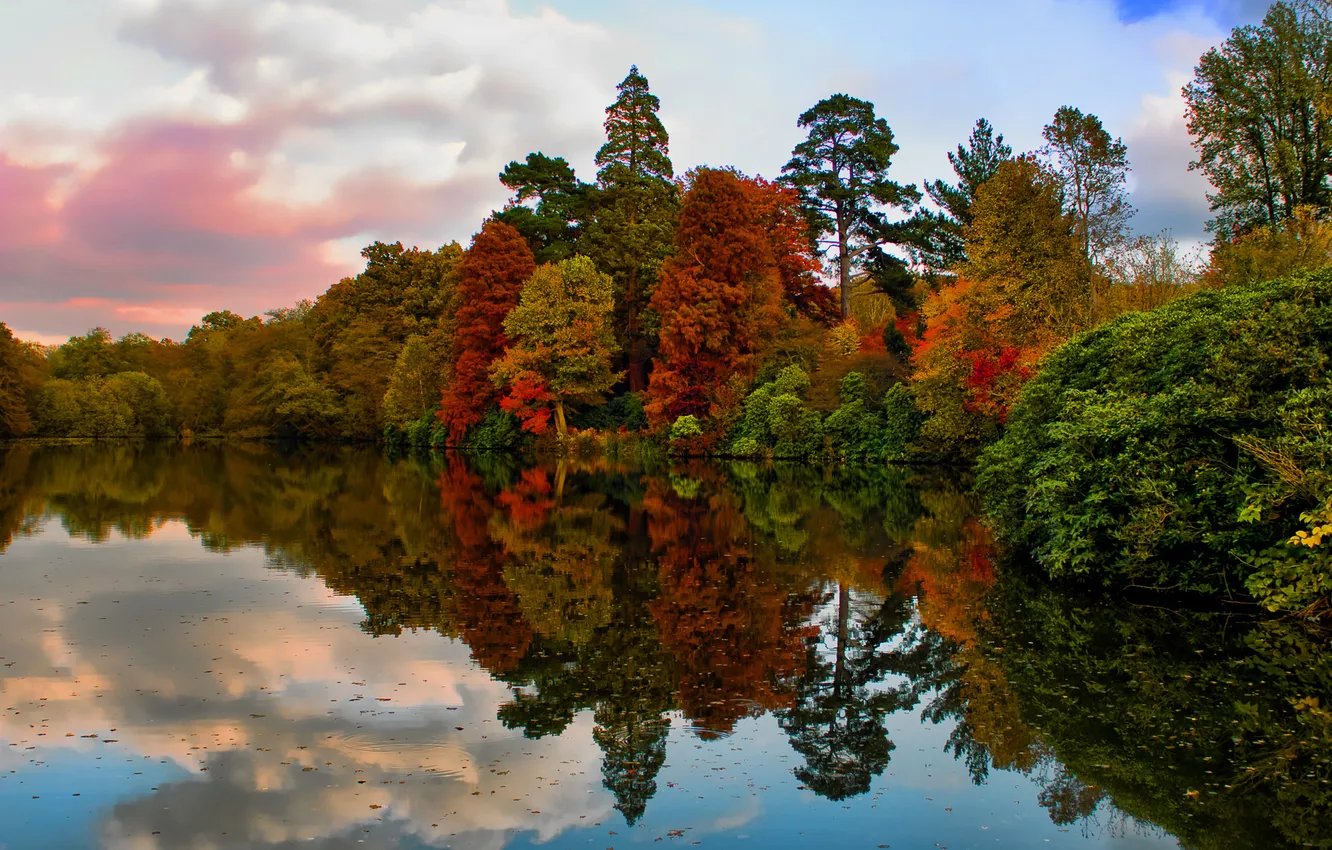 Фото обои осень, природа, озеро, парк