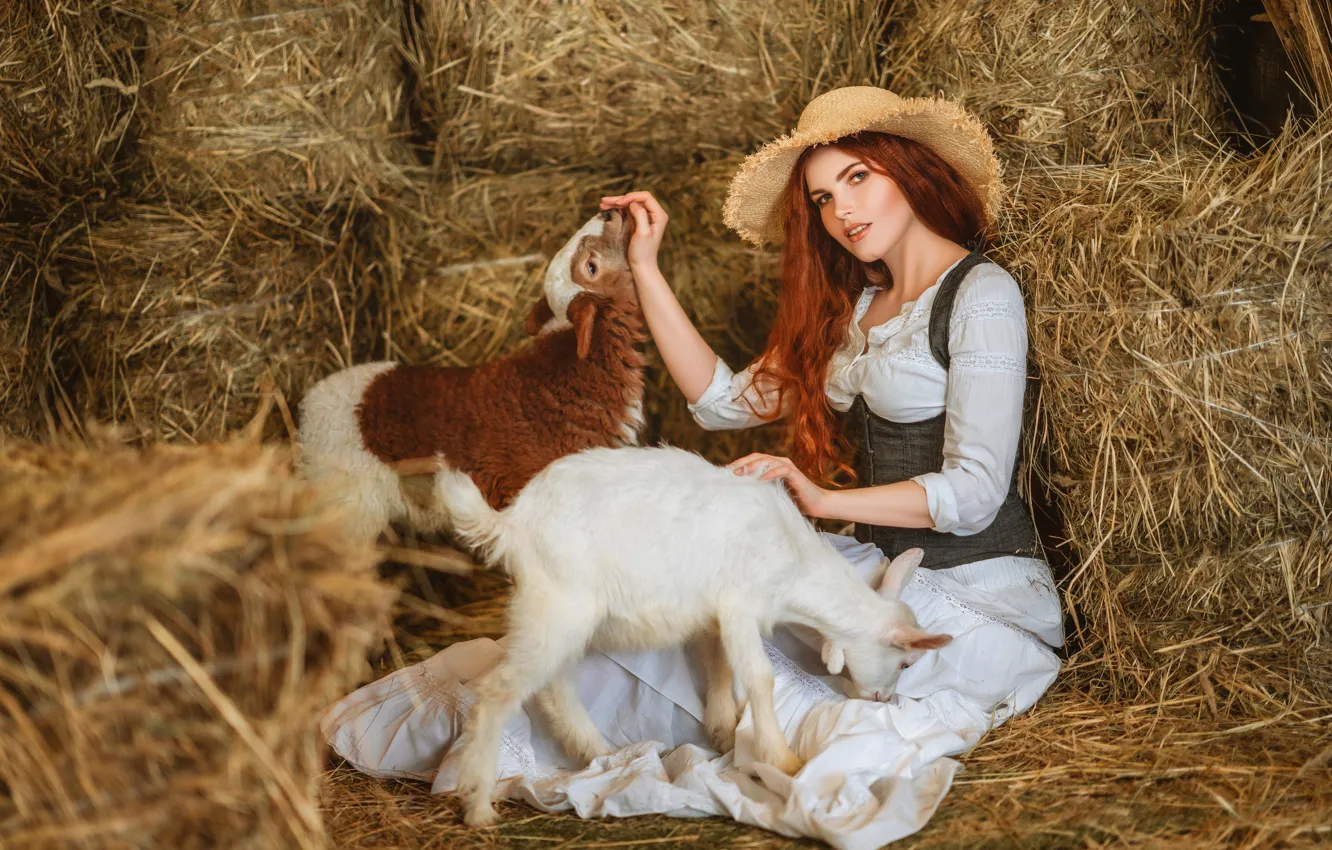 Фото обои взгляд, девушка, шляпа, сено, рыжая, барашек, рыжеволосая, овечка