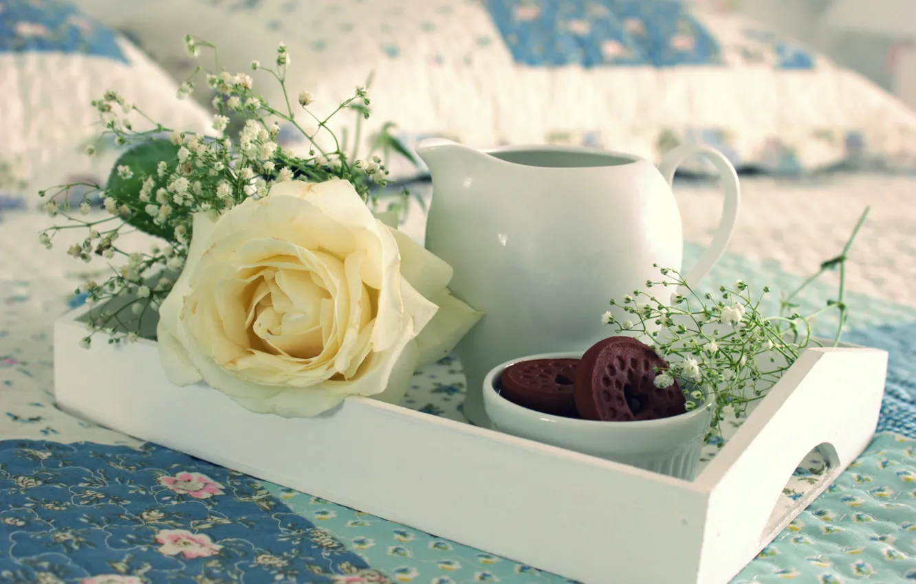 Фото обои чай, роза, еда, печенье, пирожное, food, cup, сладкое