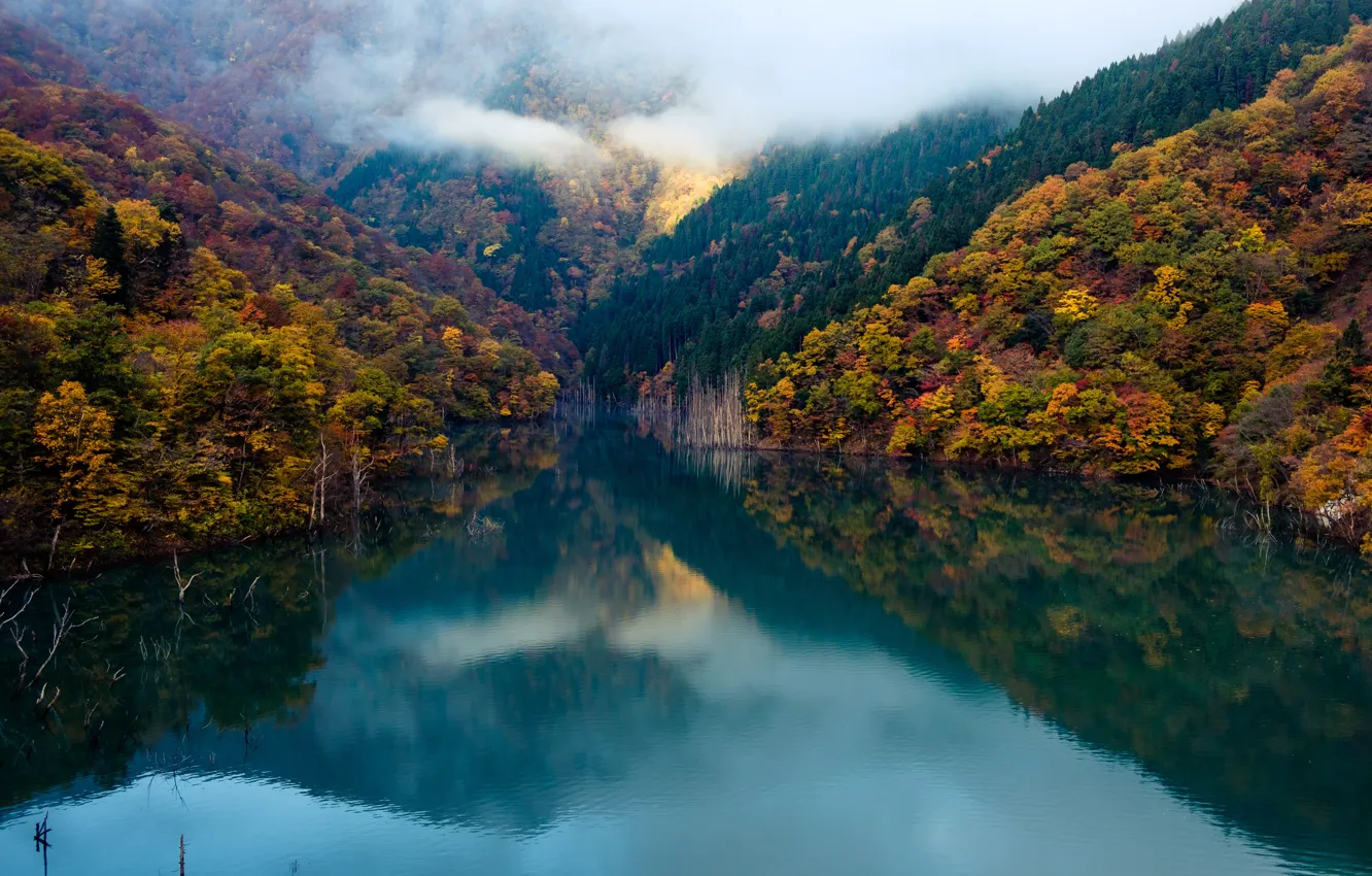 Фото обои forest, autumn, clouds, lake, mirror