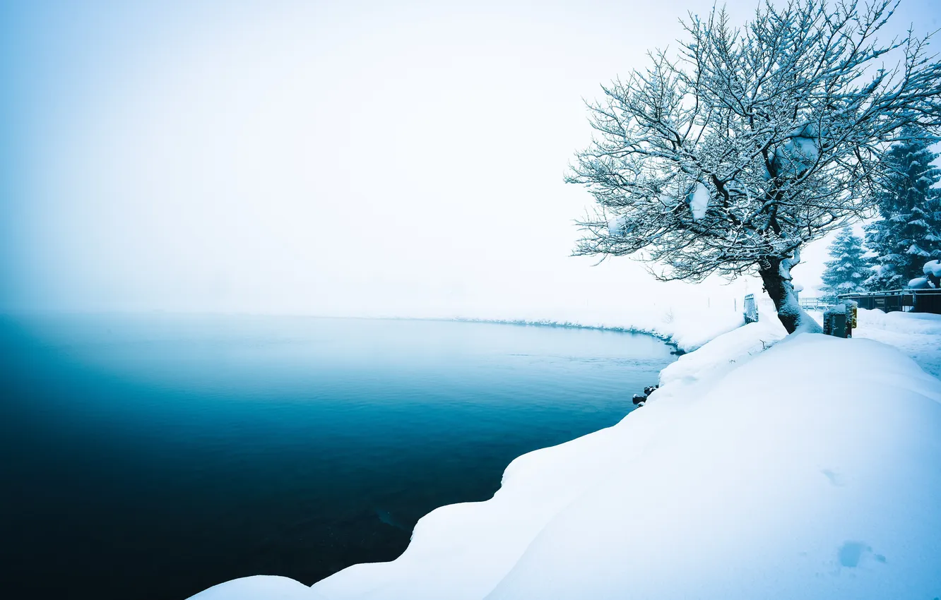 Фото обои зима, природа, туман, озеро