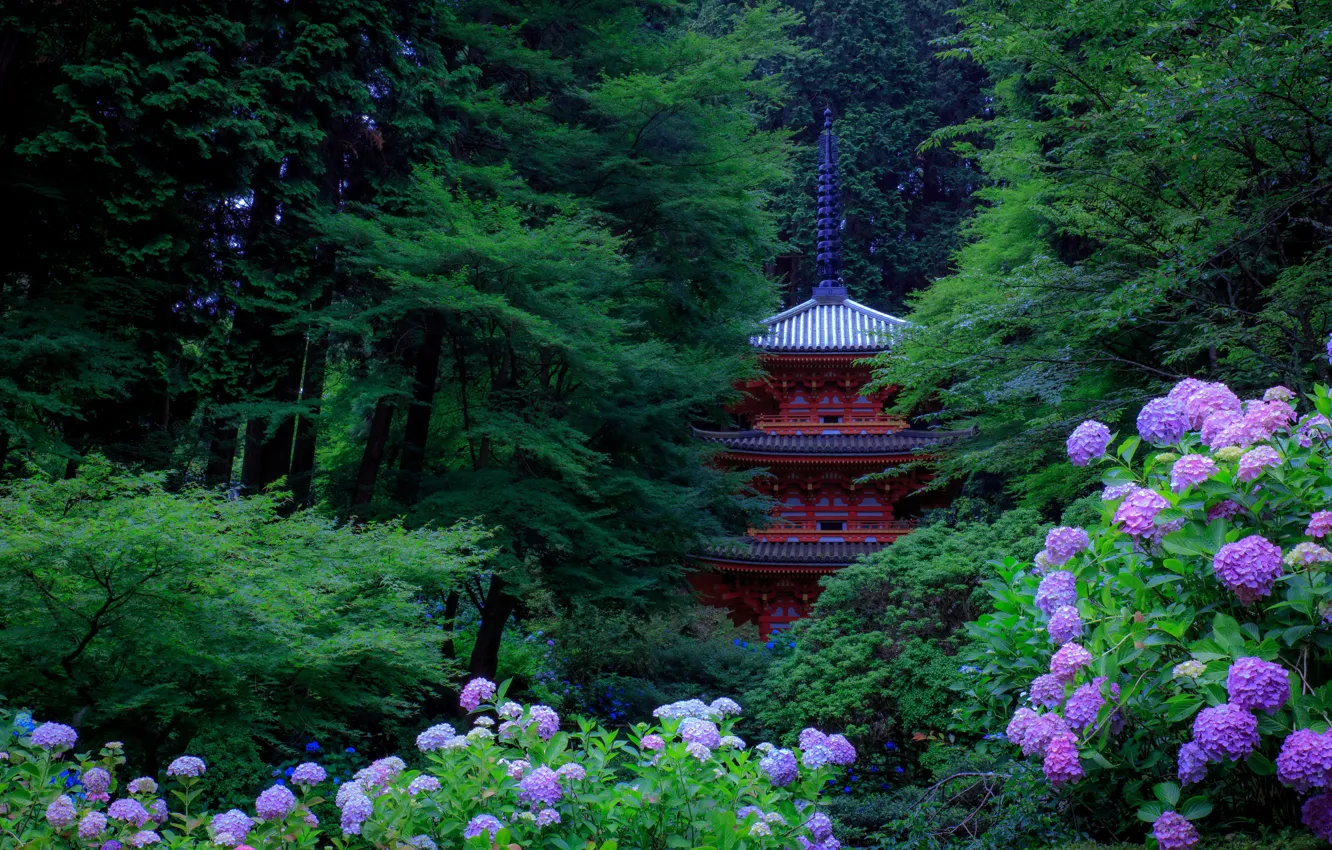 Фото обои зелень, деревья, цветы, парк, Япония, пагода, Kyoto, кусты