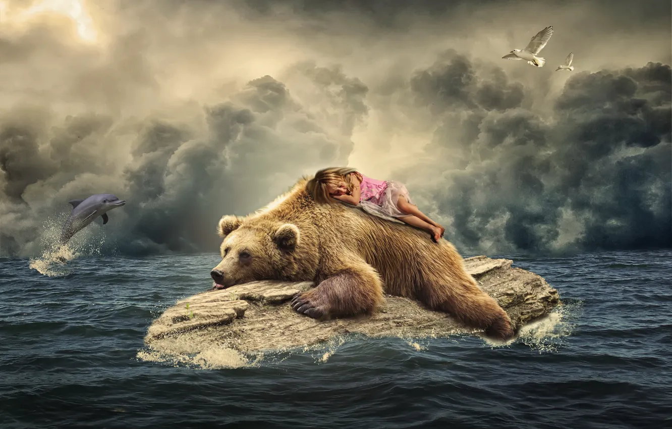 Фото обои море, птицы, дельфин, чайки, сон, ситуация, медведь, девочка