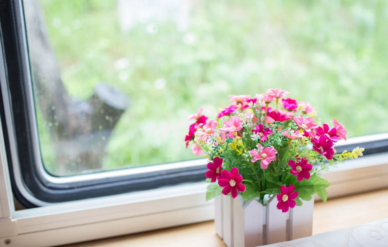 Фото обои цветы, окно, подоконник, розовые, вазон