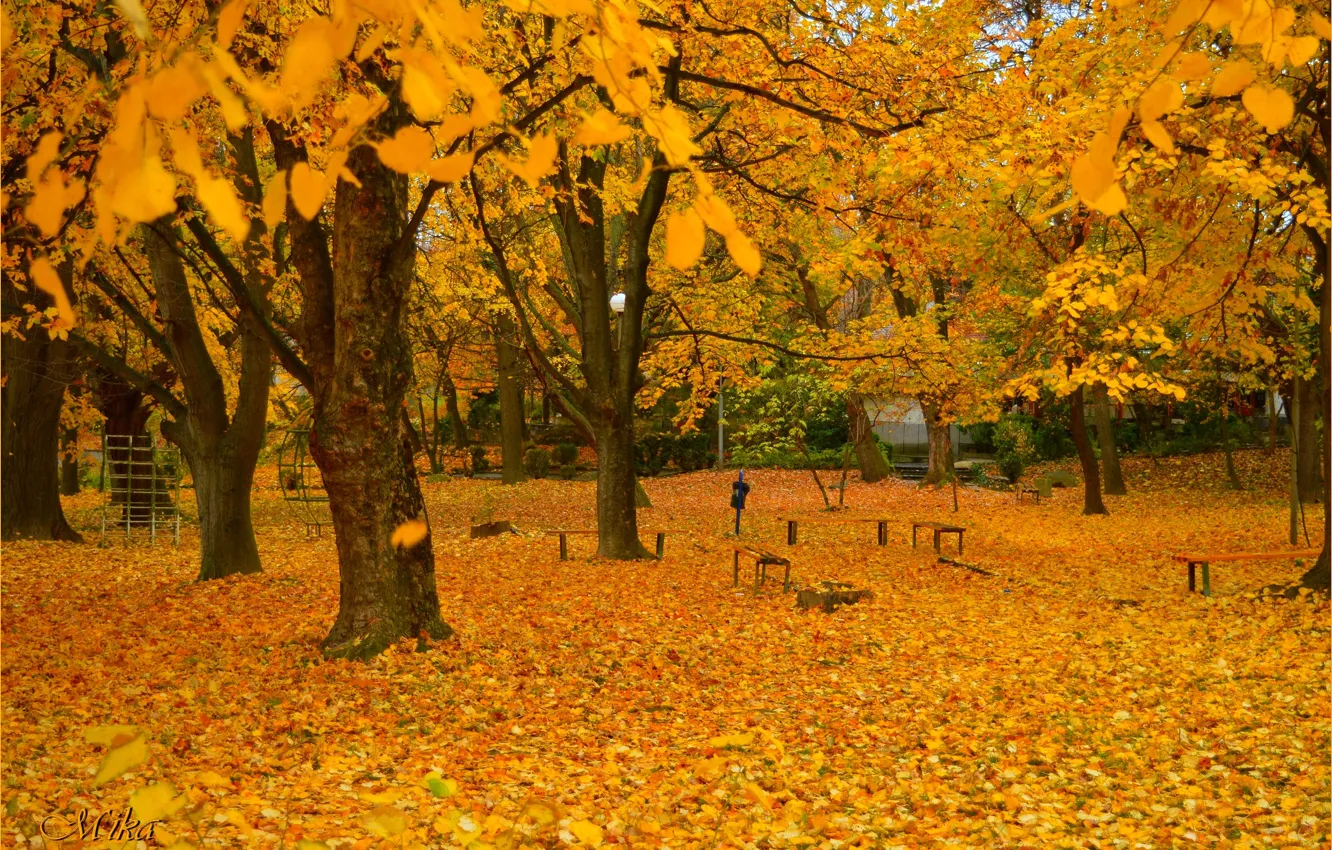 Фото обои Осень, Деревья, Парк, Fall, Листва, Park, Autumn, Trees