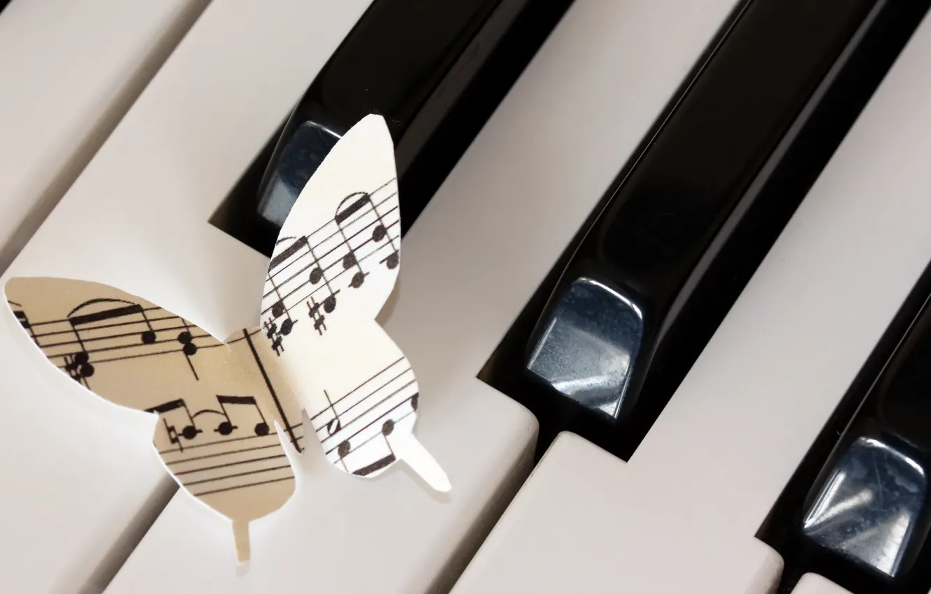 Фото обои ноты, музыка, бабочка, пианино