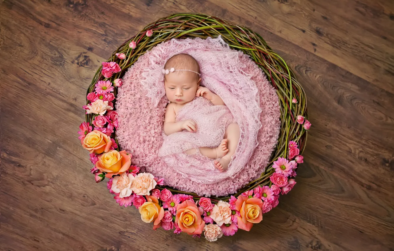 Фото обои цветы, корзина, младенец, basket, wicker, infants