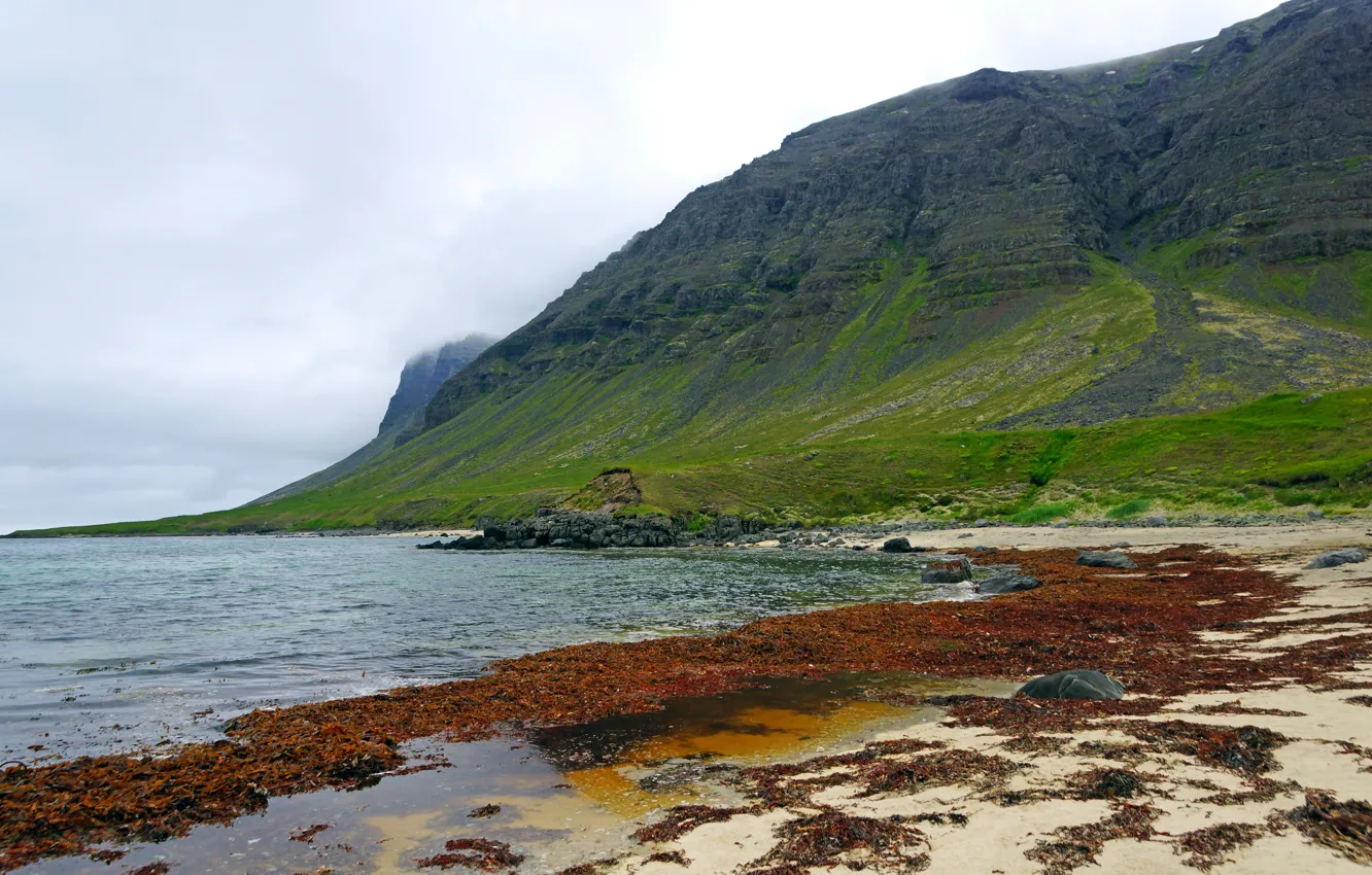 Фото обои море, облака, камни, пасмурно, скалы, побережье, Исландия, Westfjords