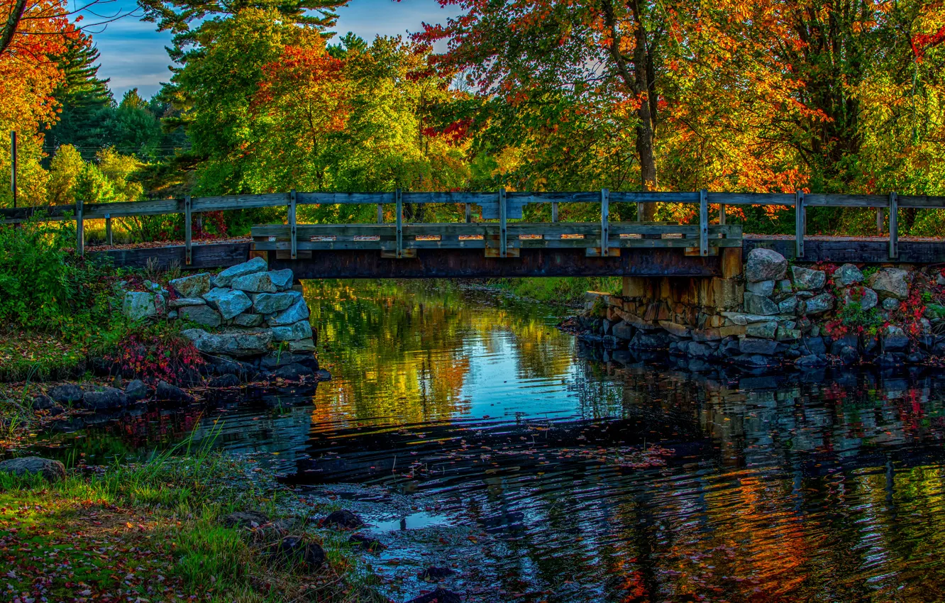 Фото обои осень, лес, небо, деревья, мост, река