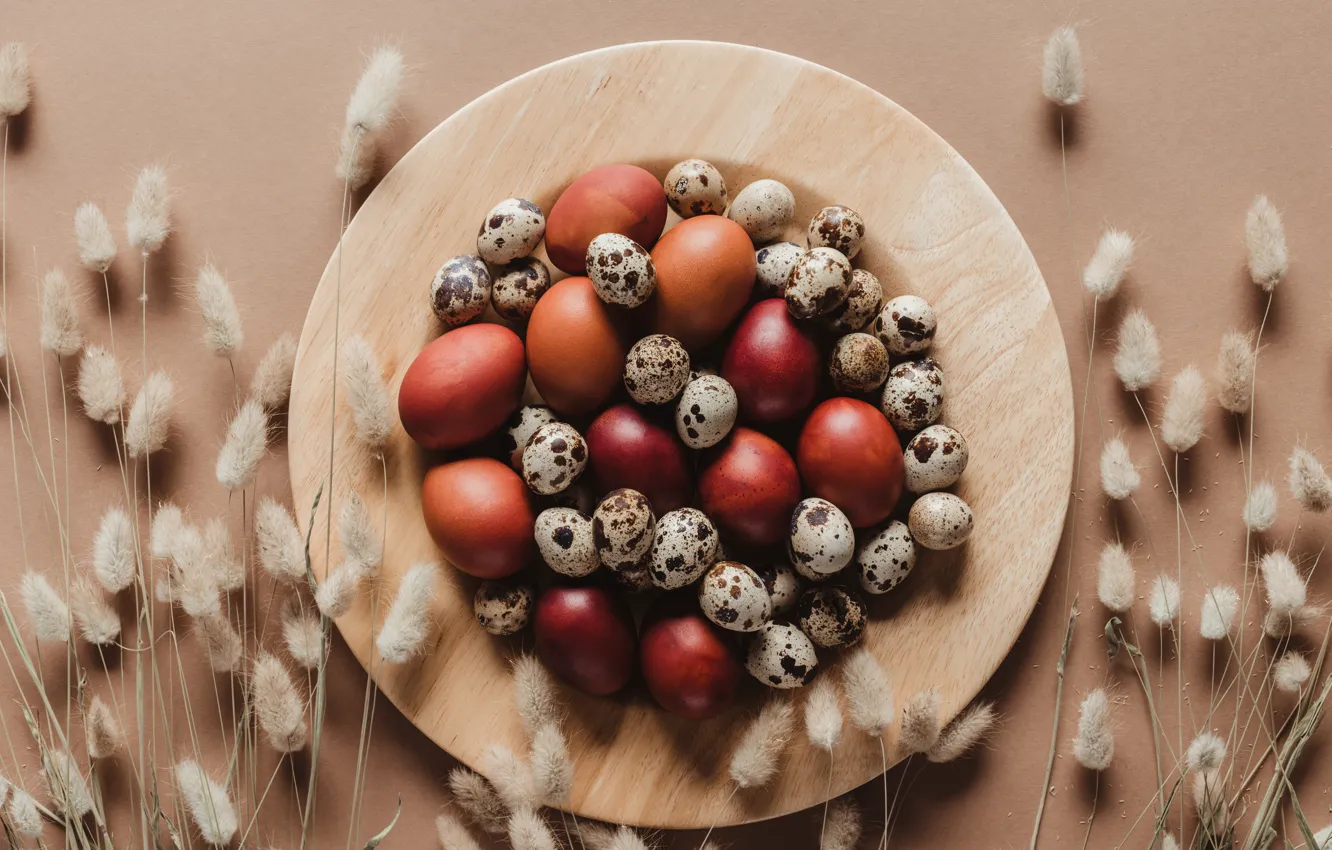 Фото обои веточка, праздник, яйца, Пасха