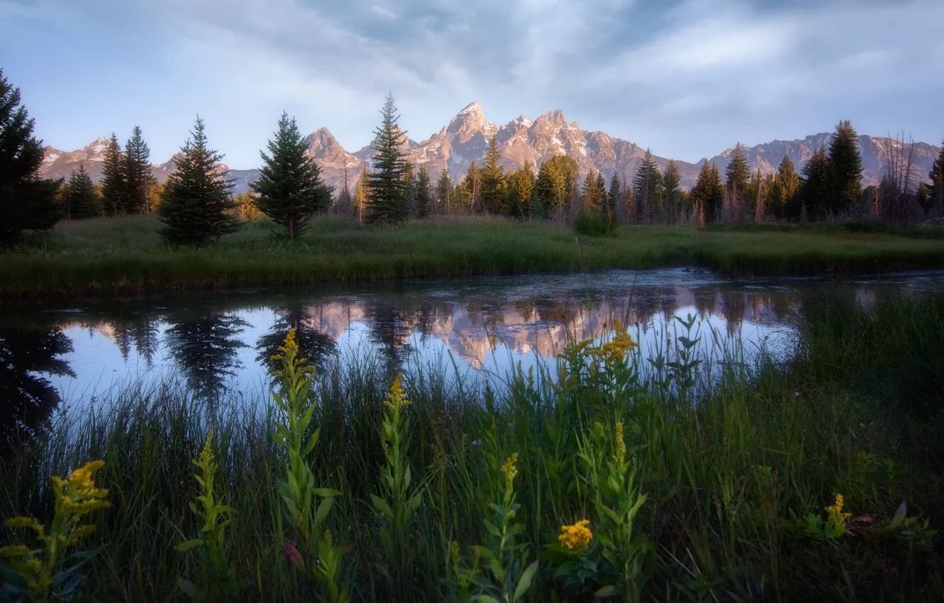 Фото обои деревья, горы, природа, луг