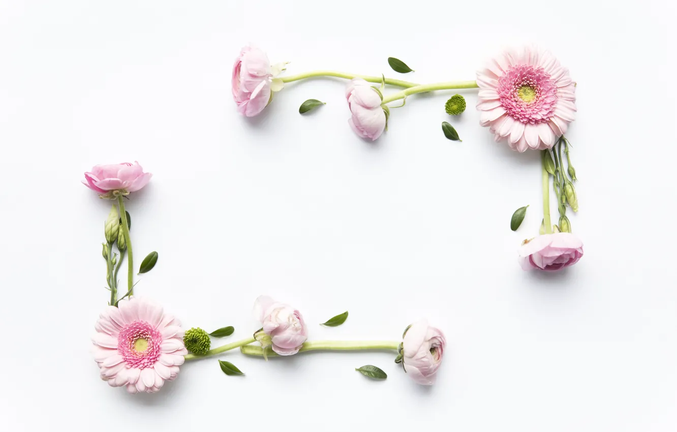 Фото обои цветы, розы, розовые, герберы, pink, flowers, roses, gerbera
