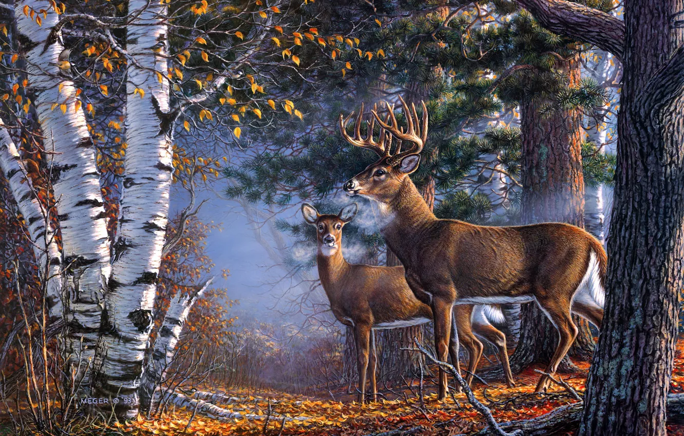 Фото обои картина, арт, живопись, пара, рисунок, осень, James Meger, олени, лес