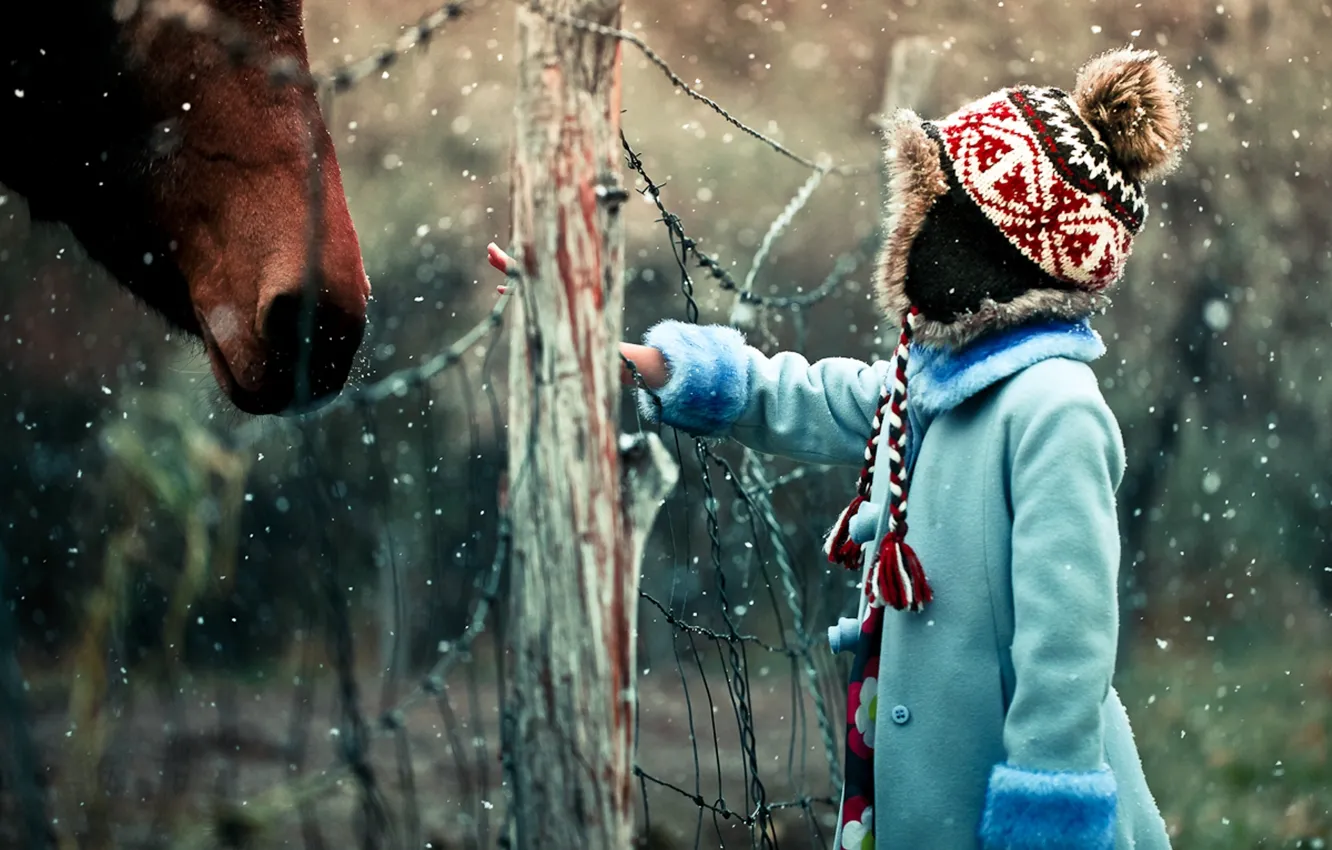 Фото обои зима, снег, настроение, сетка, лошадь, ограждение, девочка