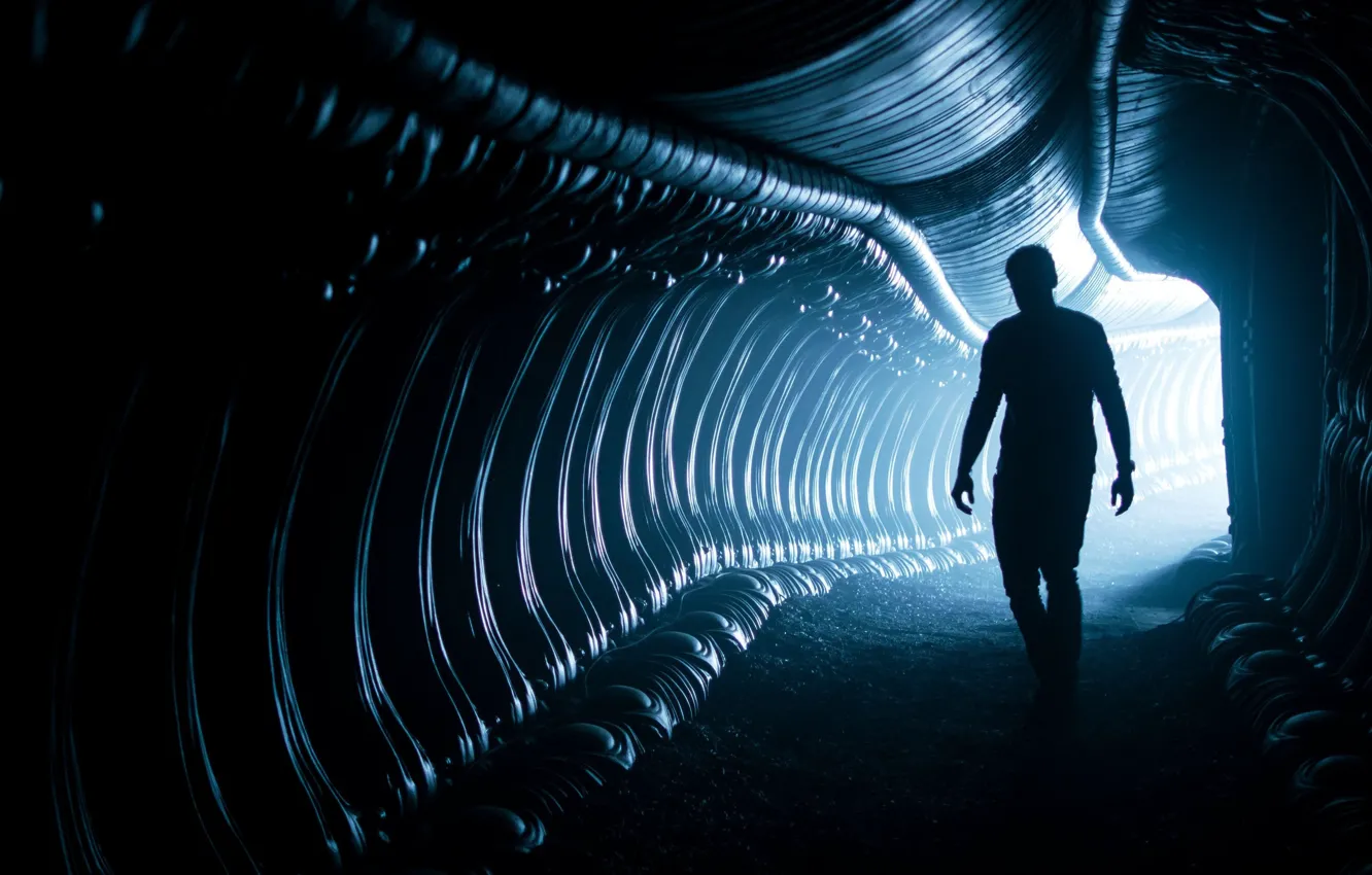 Фото обои cinema, alien, police, movie, film, silhouette, cop, Alien: Covenant