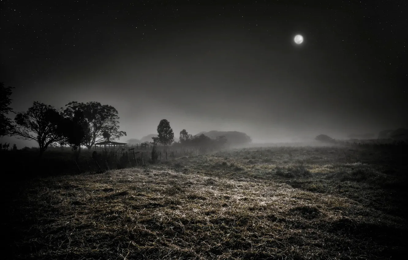 Фото обои ночь, туман, луна, звёзды