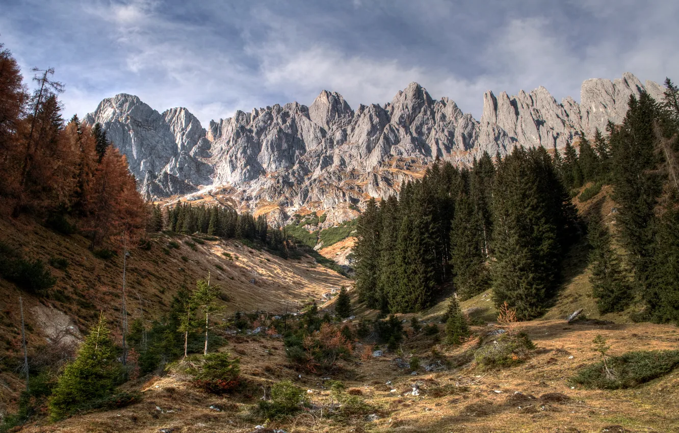 Фото обои лес, пейзаж, горы, природа, скала, Альпы, Austrian