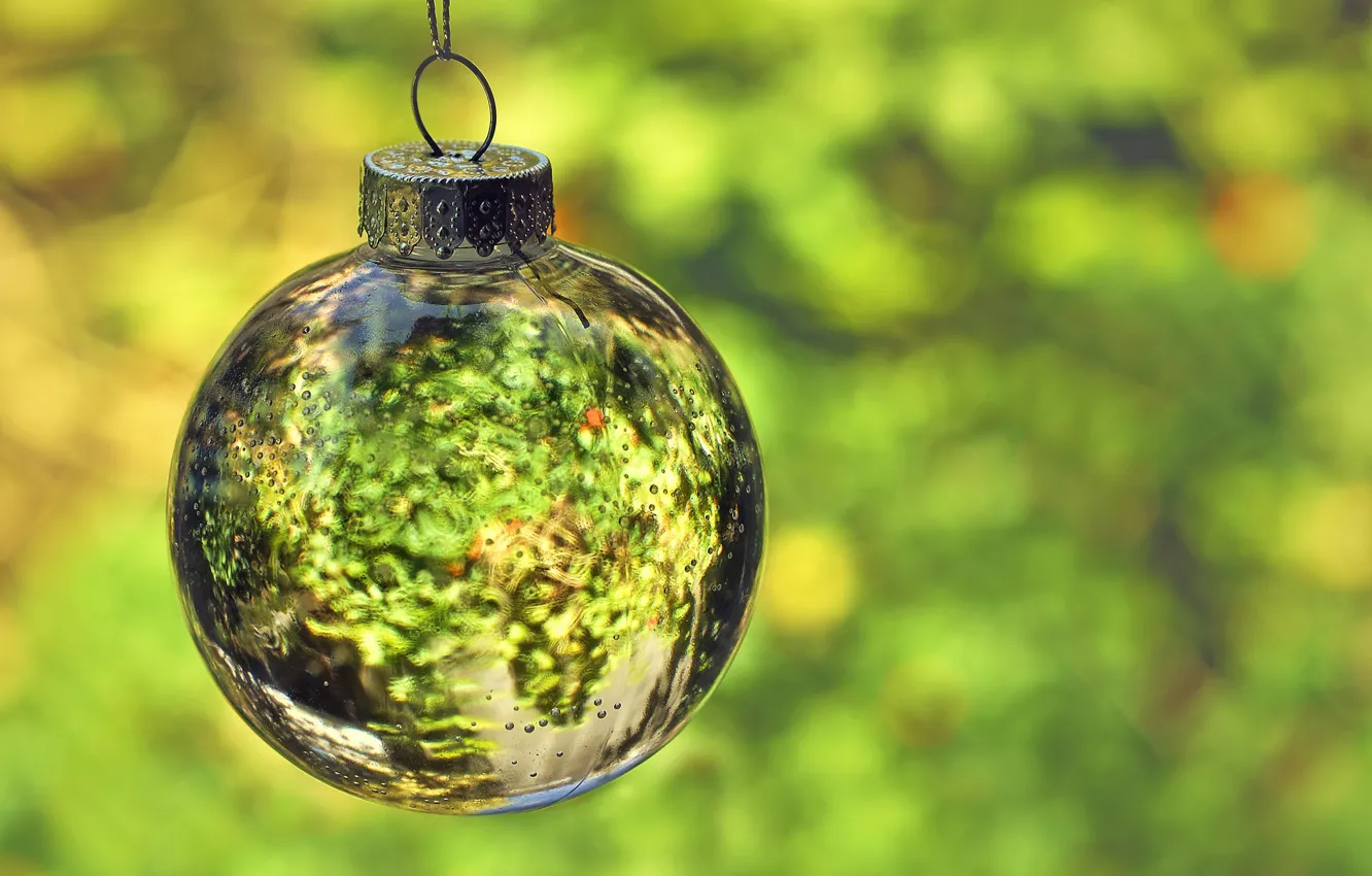 Фото обои шарики, фон, праздник, игрушка