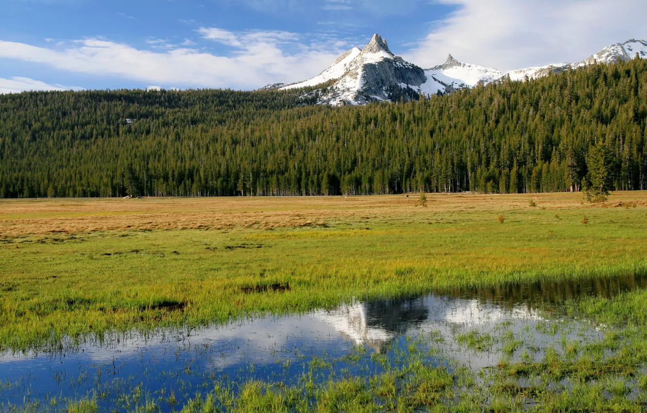 Фото обои природа, Калифорния, США, Йосемити, Cathedral Peak