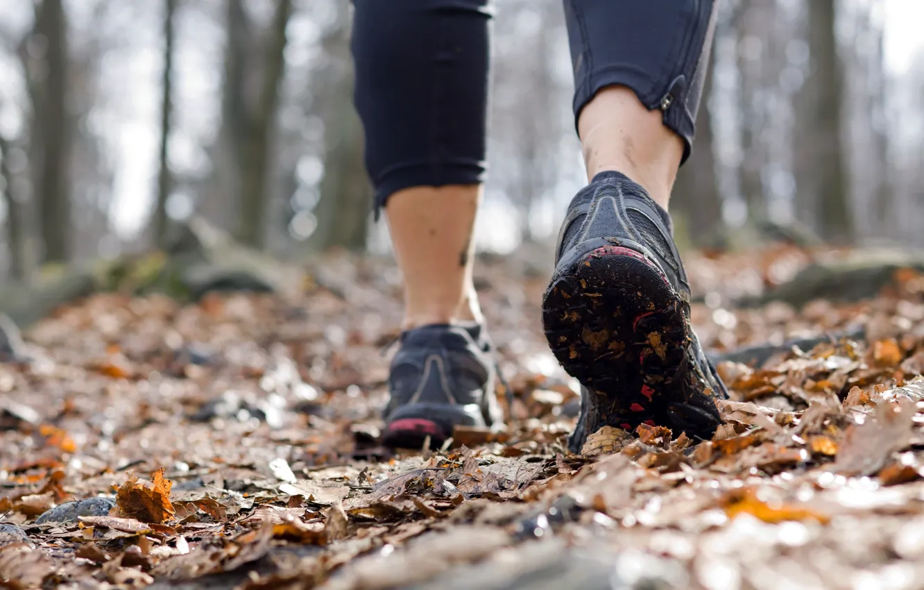 Фото обои Autumn, training, running shoes, running, outdoor walking