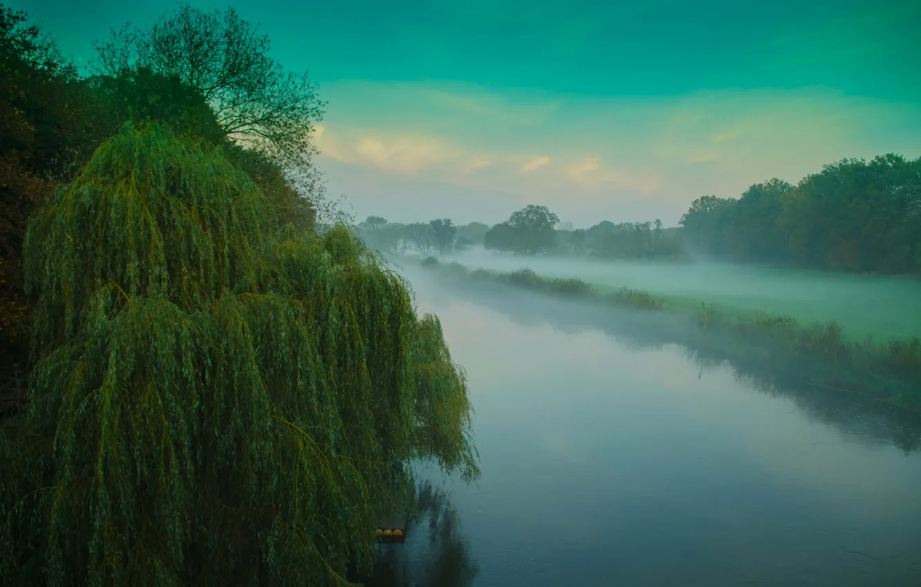 Фото обои небо, деревья, туман, река, утро