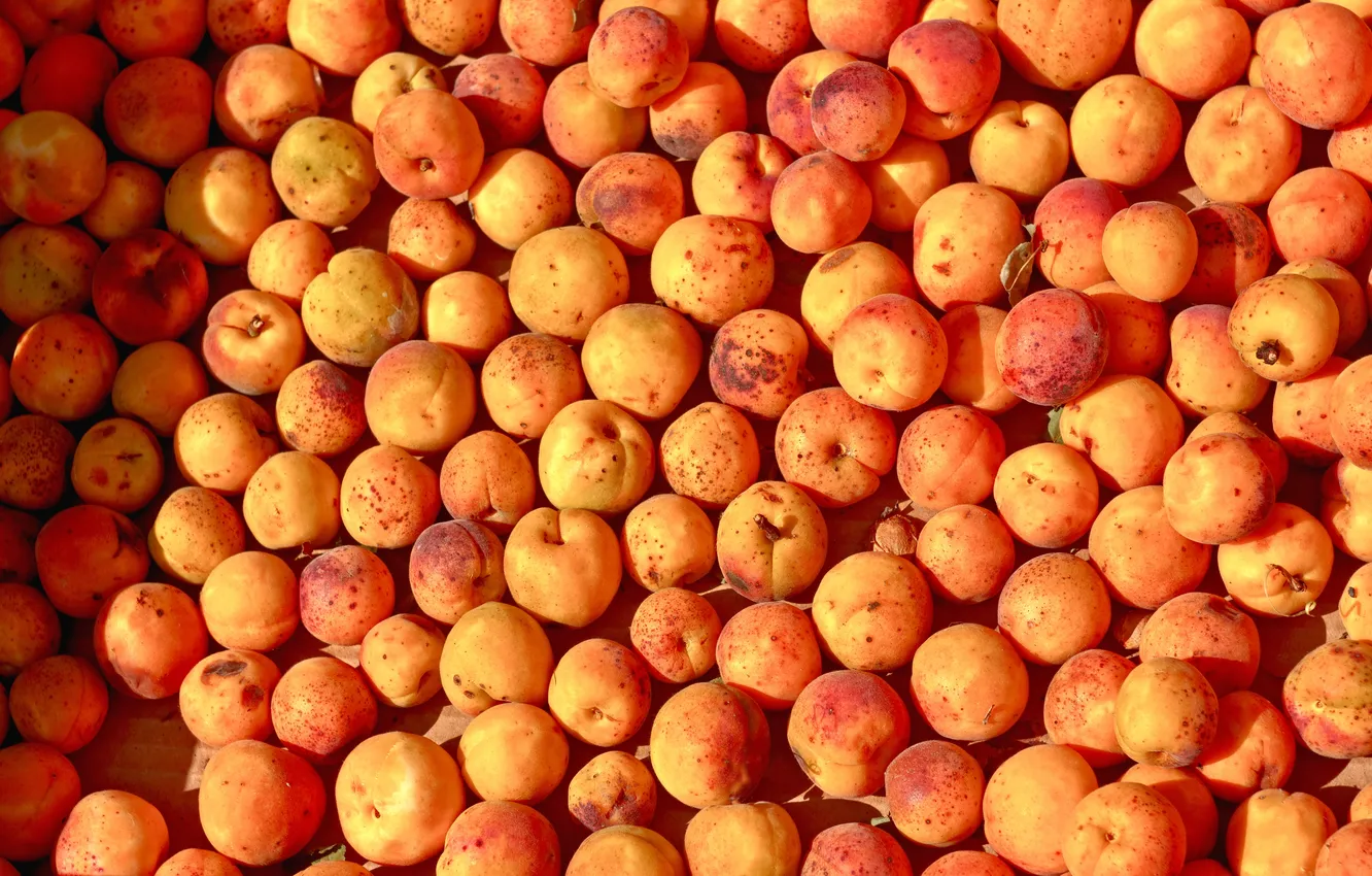 Фото обои фрукты, персики, спелые