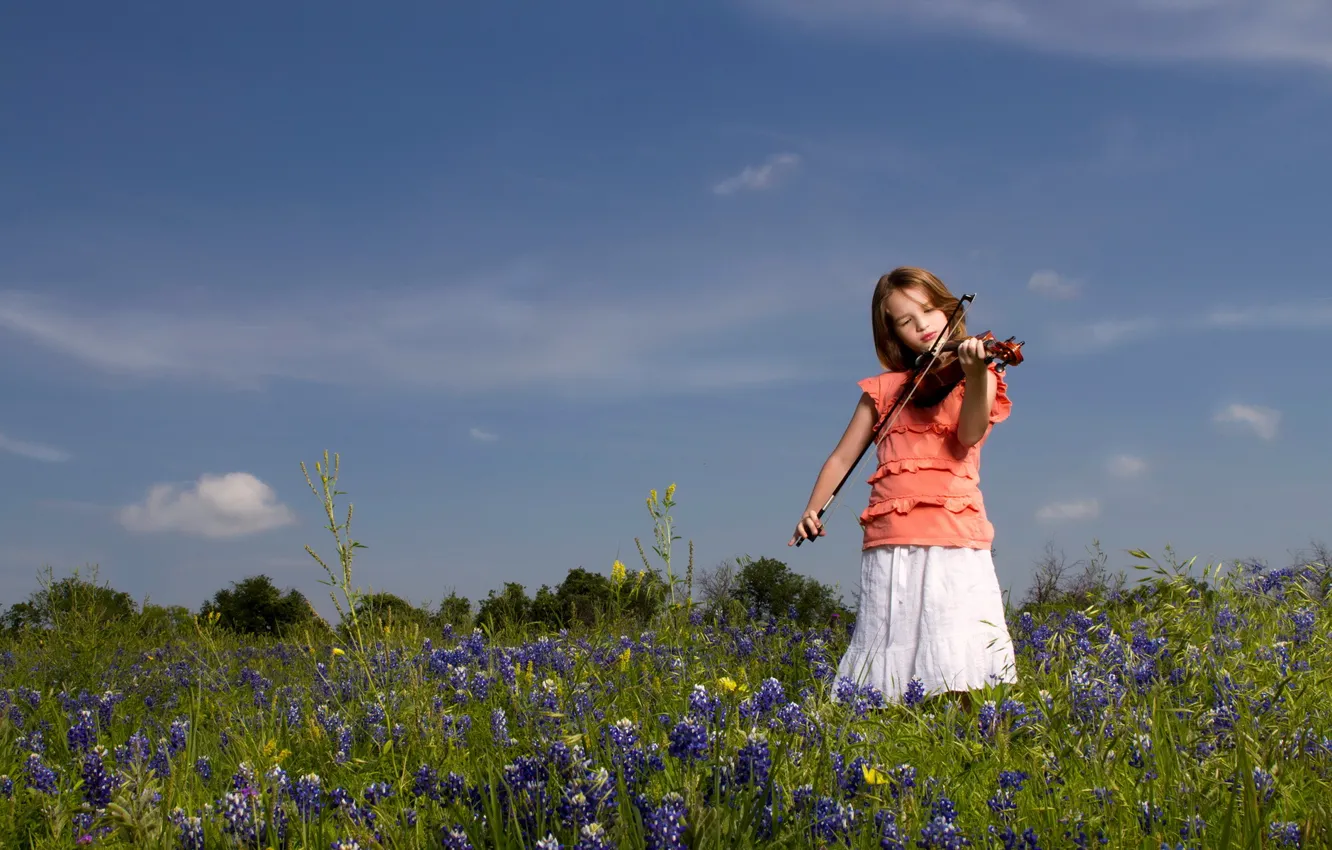 Фото обои поле, настроение, скрипка, девочка