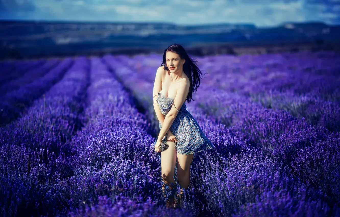 Фото обои поле, девушка, цветы, декольте, ножки, лаванда, Katrina Blue