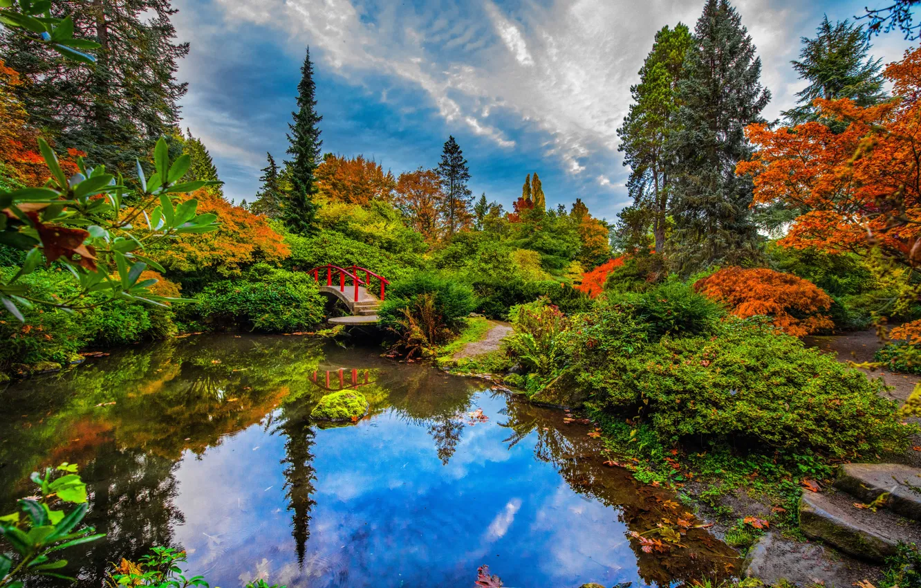 Фото обои осень, деревья, мост, пруд, отражение, Сиэтл, кусты, японский сад