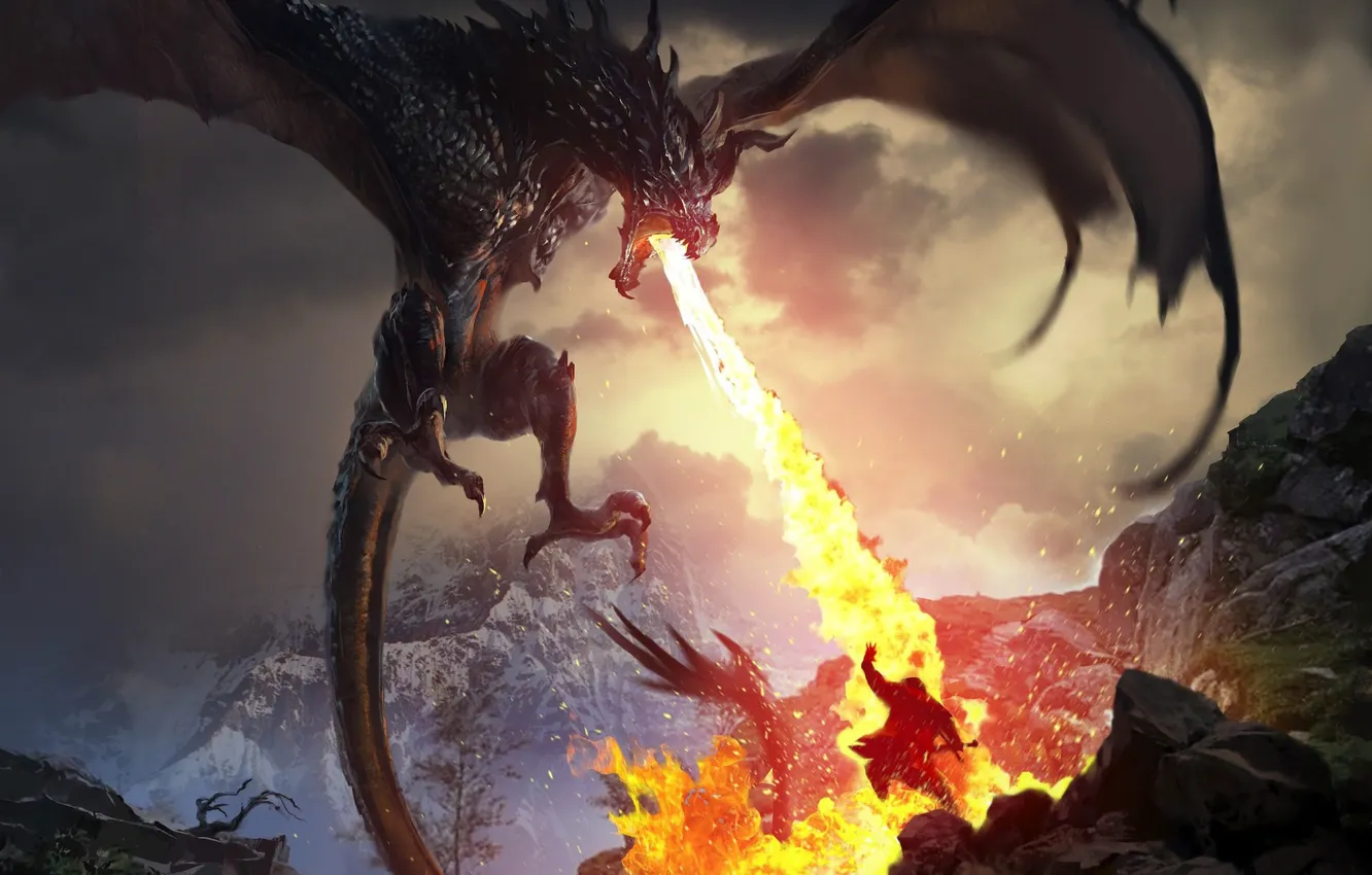 Фото обои огонь, дракон, воин, The Elder Scrolls Legends