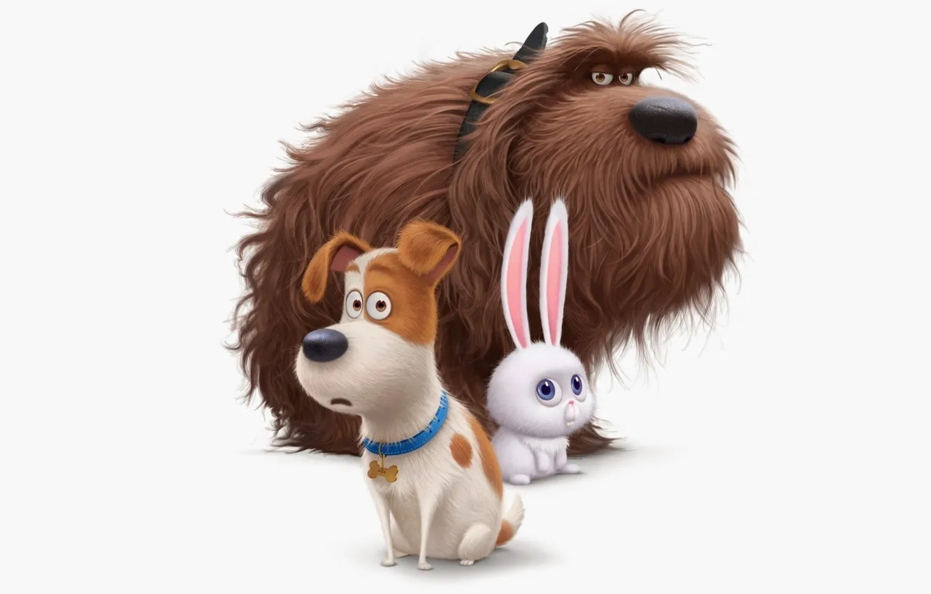Фото обои cinema, puppy, rabbit, dog, cartoon, movie, animal, hair