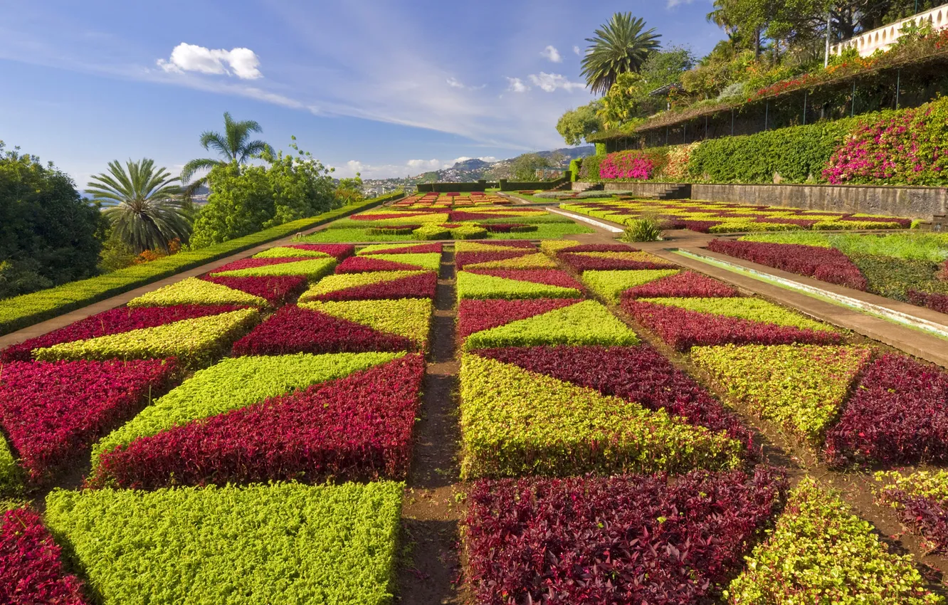 Фото обои Portugal, Madeira, Formal gardens