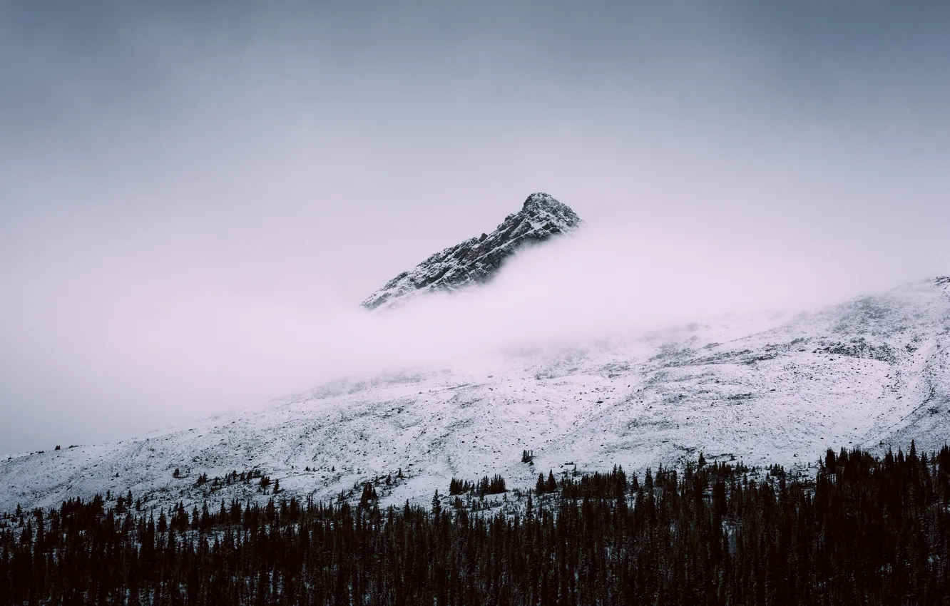 Фото обои Alberta, Canada, winter, clouds, mountain, snow, Jasper National Park, Canadian Rockies