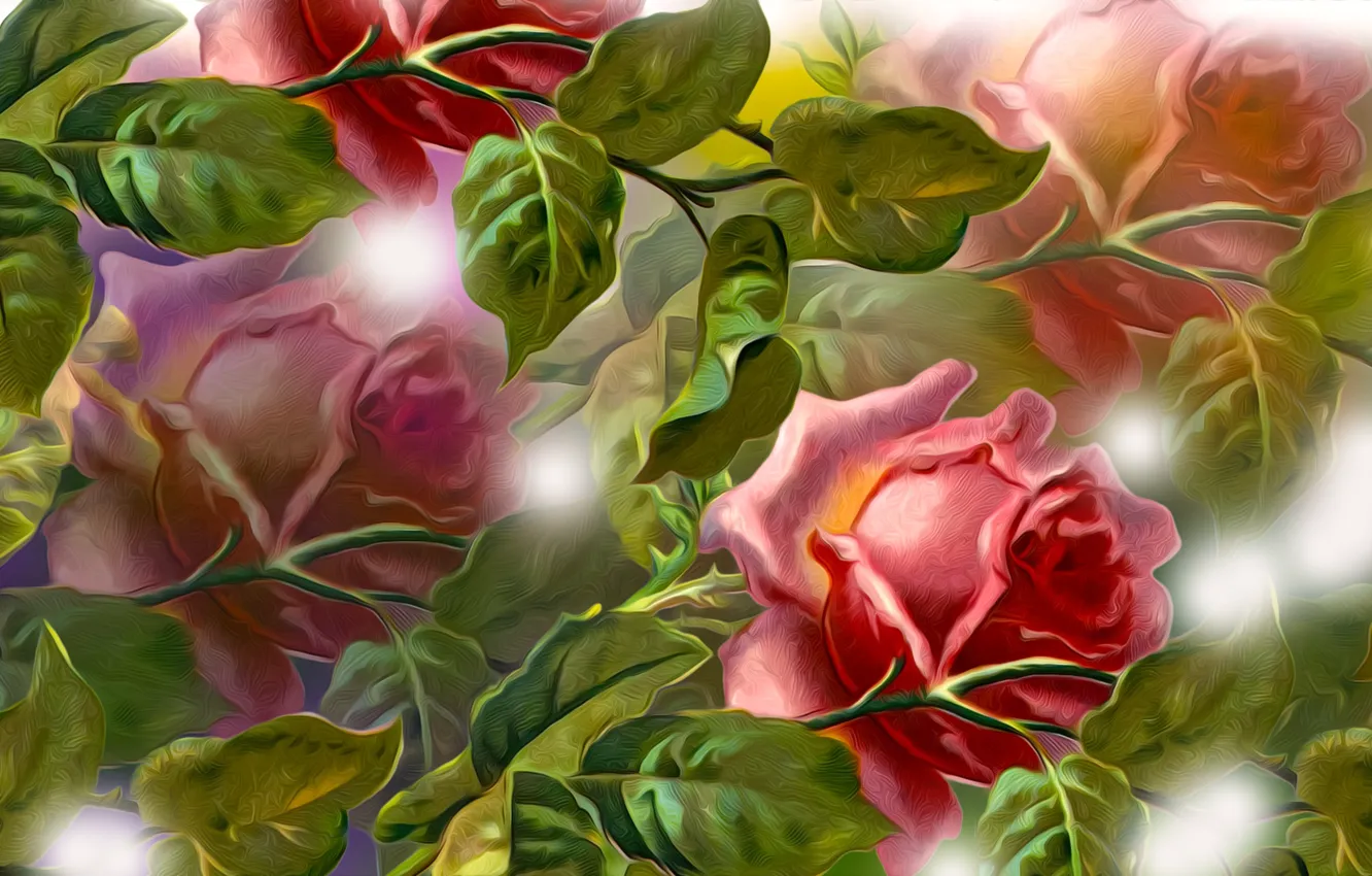 Фото обои Grafika, Kwiaty, Róże