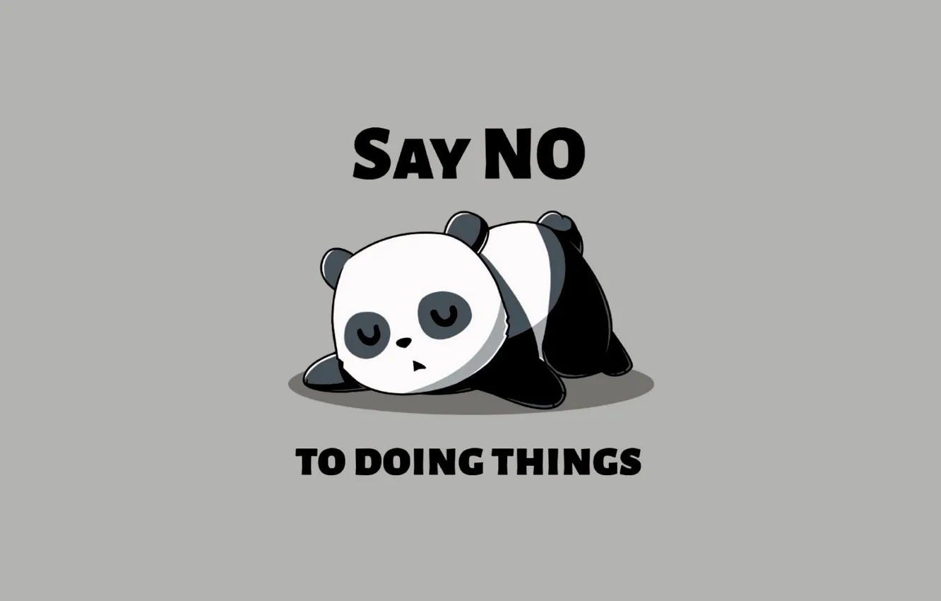 Фото обои minimalism, sleeping, humor, simple background, Panda, say no