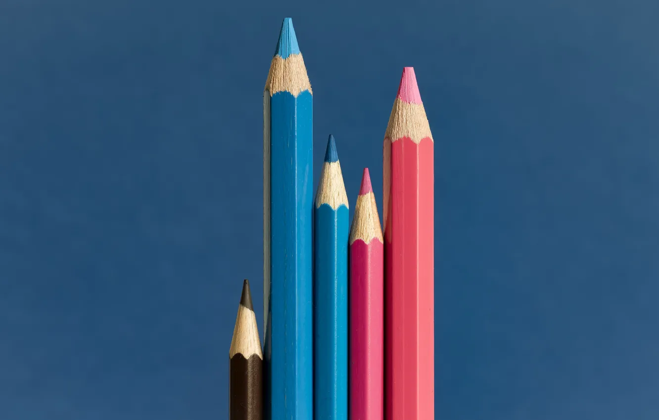 Фото обои фон, цвет, карандаши, The happy family