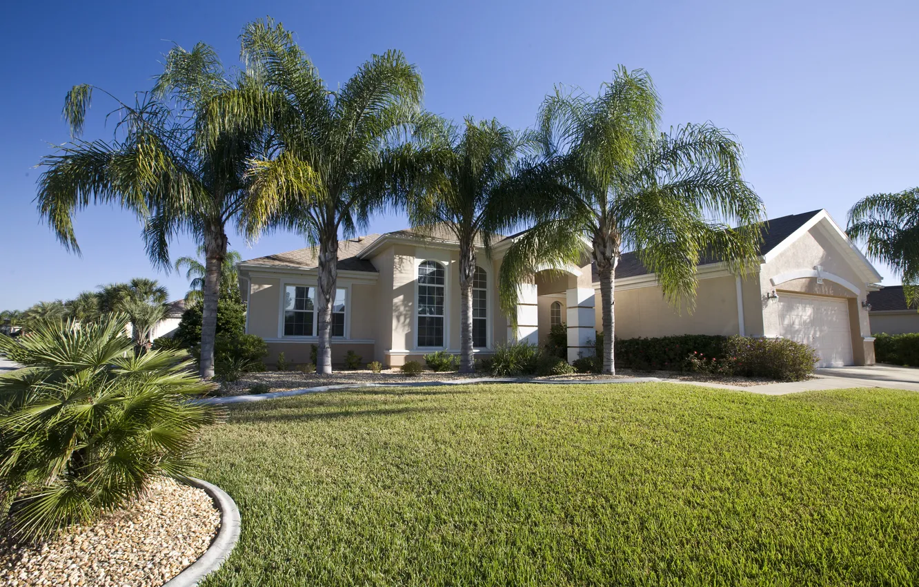 Фото обои трава, город, дом, пальмы, фото, газон, Флорида, США