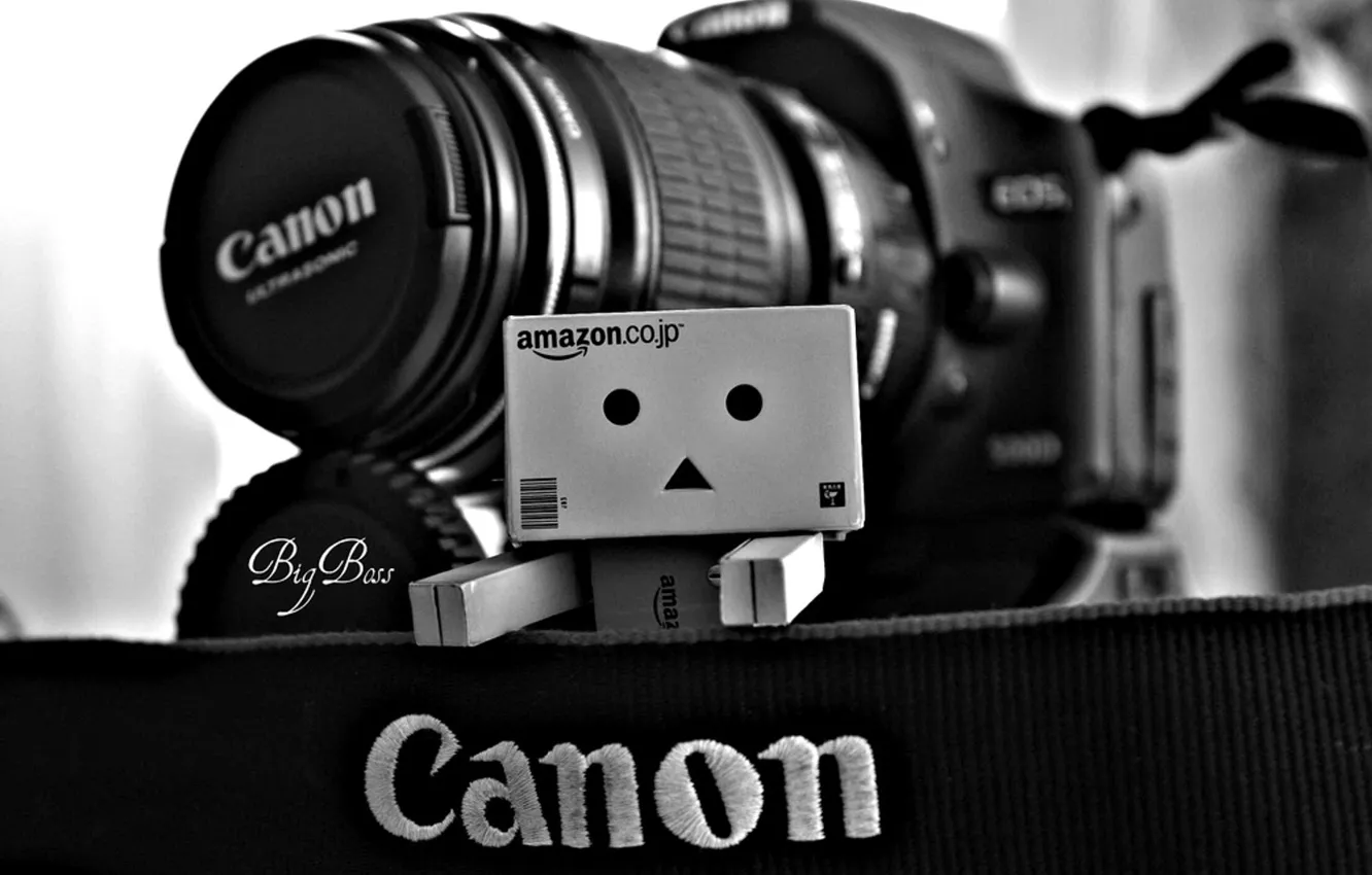 Фото обои фотоаппарат, danbo, canon, коробочка