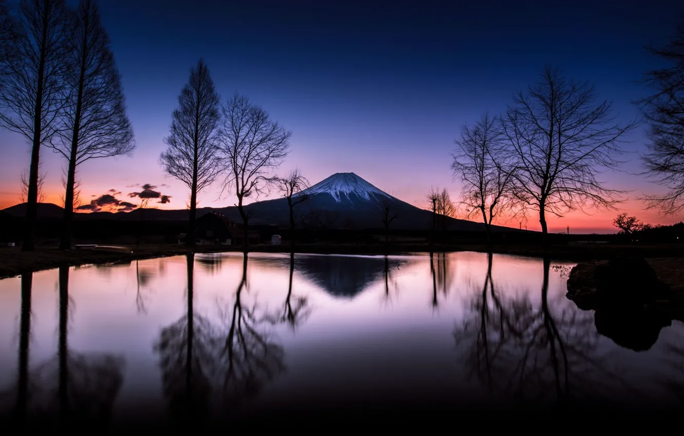 Фото обои гора, сакура, japan, Фудзияма, fuji