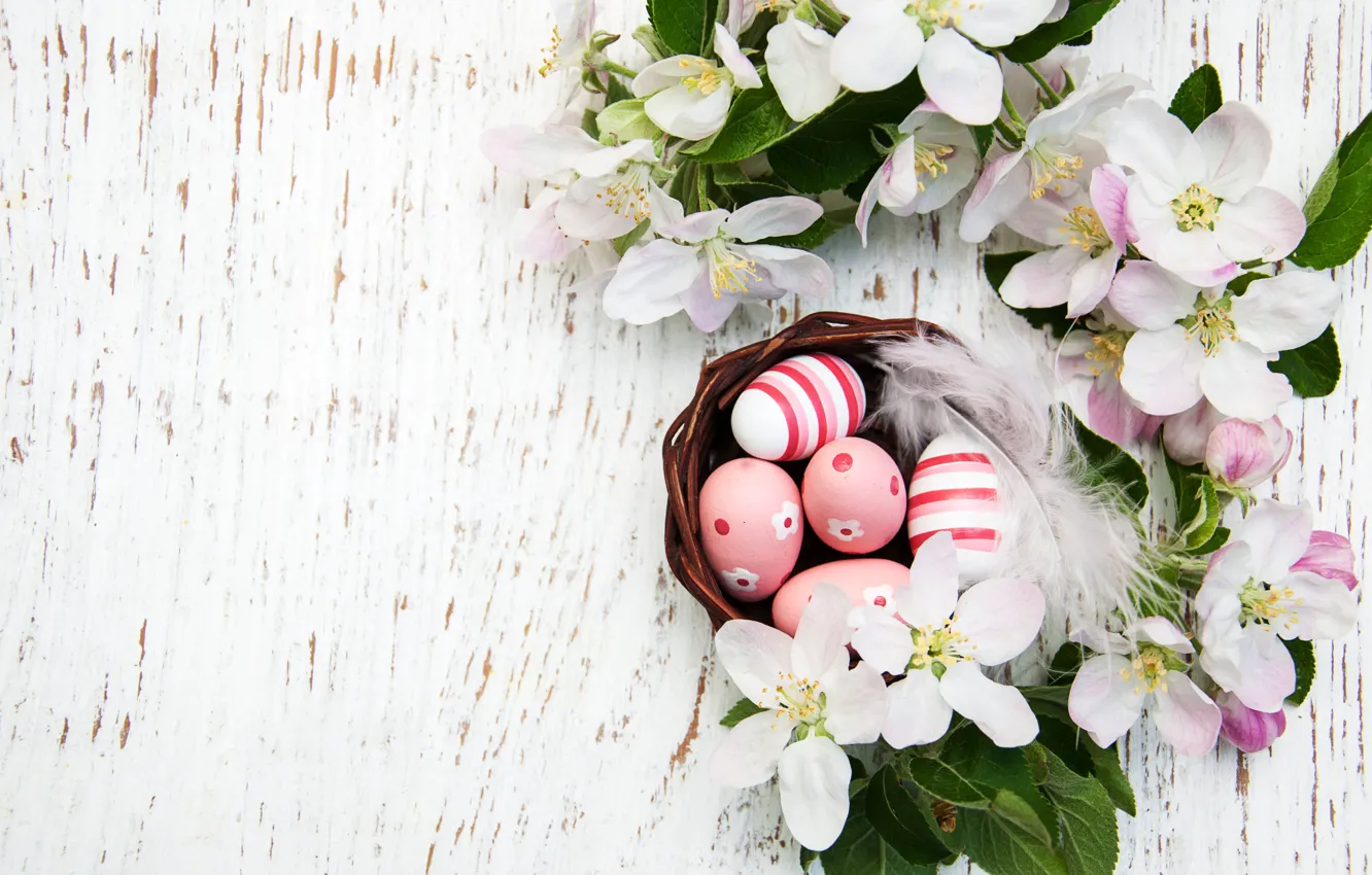 Фото обои ветки, праздник, яйца, Пасха, гнездо, крашенки, композиция, eggs