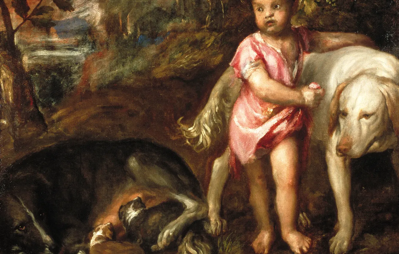 Фото обои щенки, Мальчик с собаками, Titian Vecellio