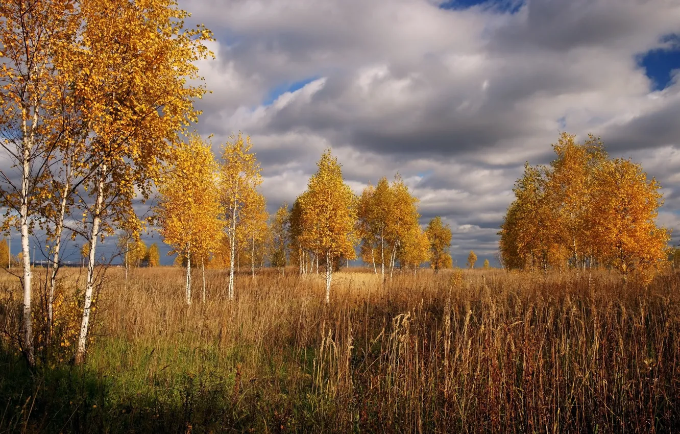 Фото обои Небо, Облака, Осень, Деревья, Clouds, Sky, Fall, Autumn